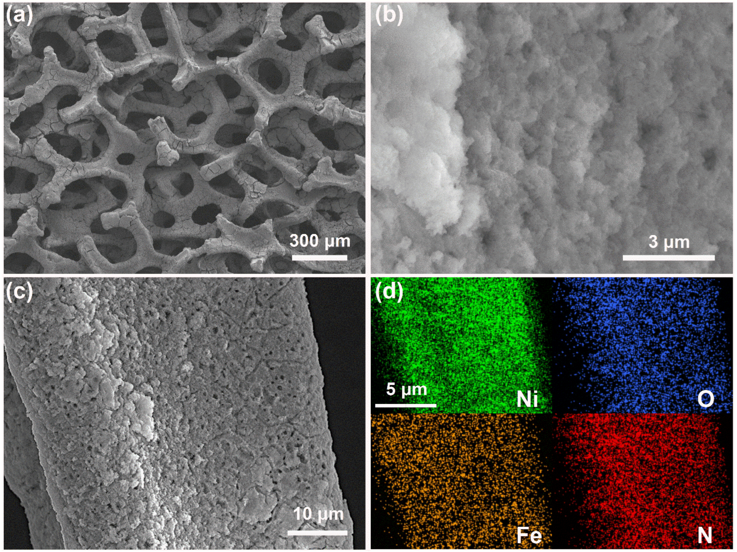 Nanomaterials 14 01168 g003