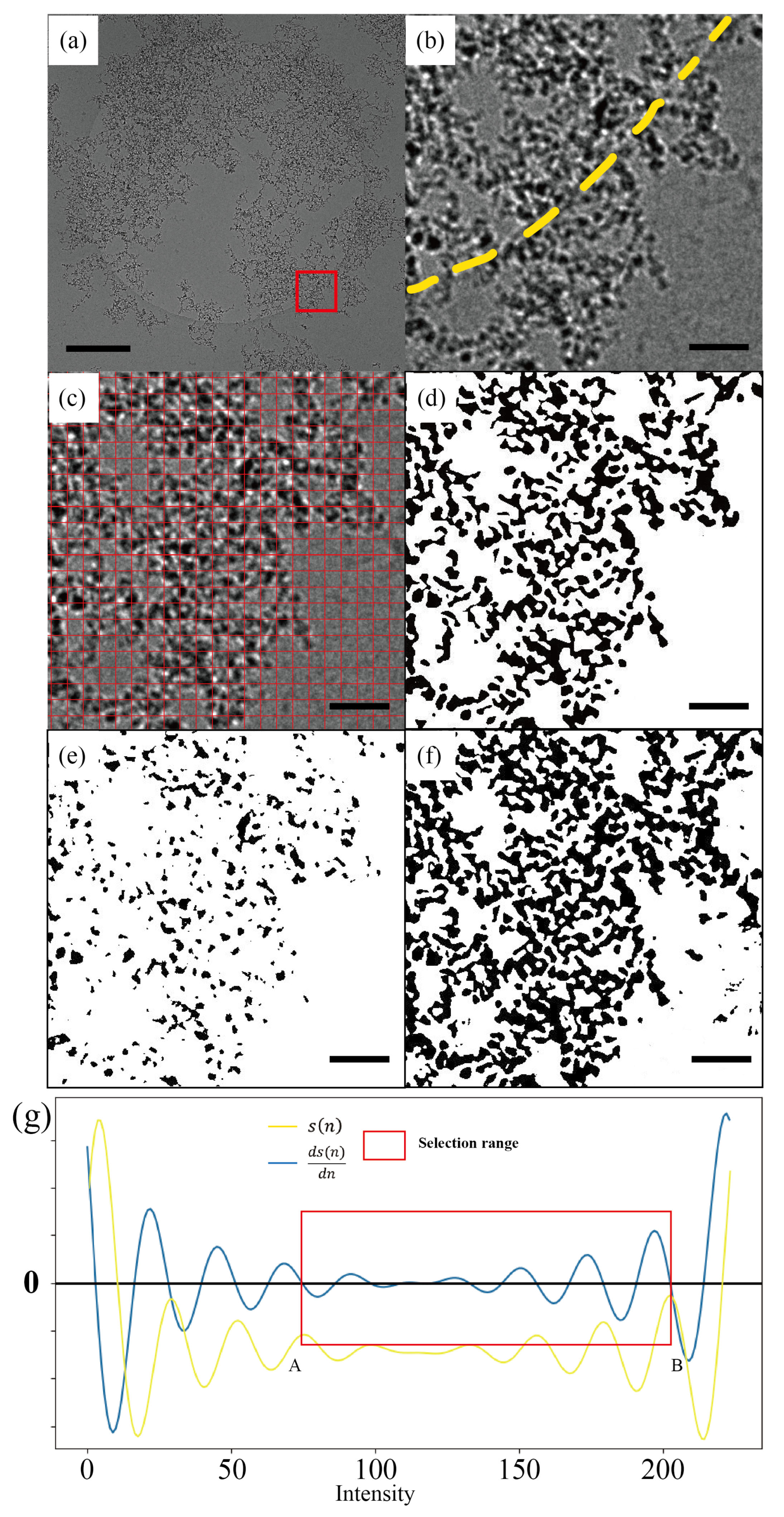 Nanomaterials 14 01169 g003