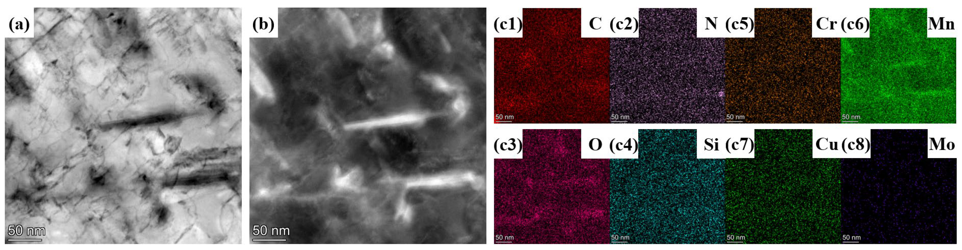 Nanomaterials 14 01171 g008
