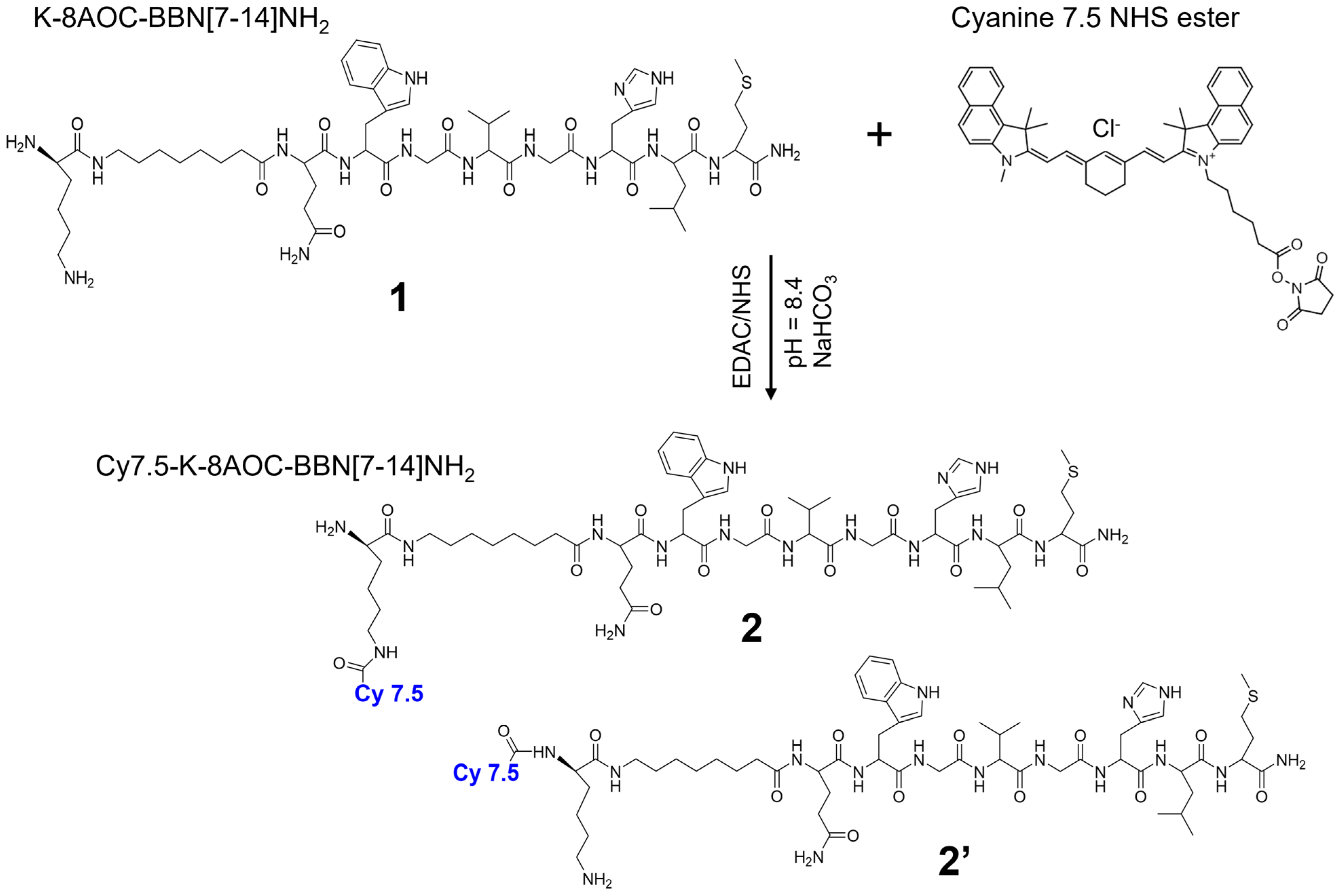 Nanomaterials 14 01177 g002