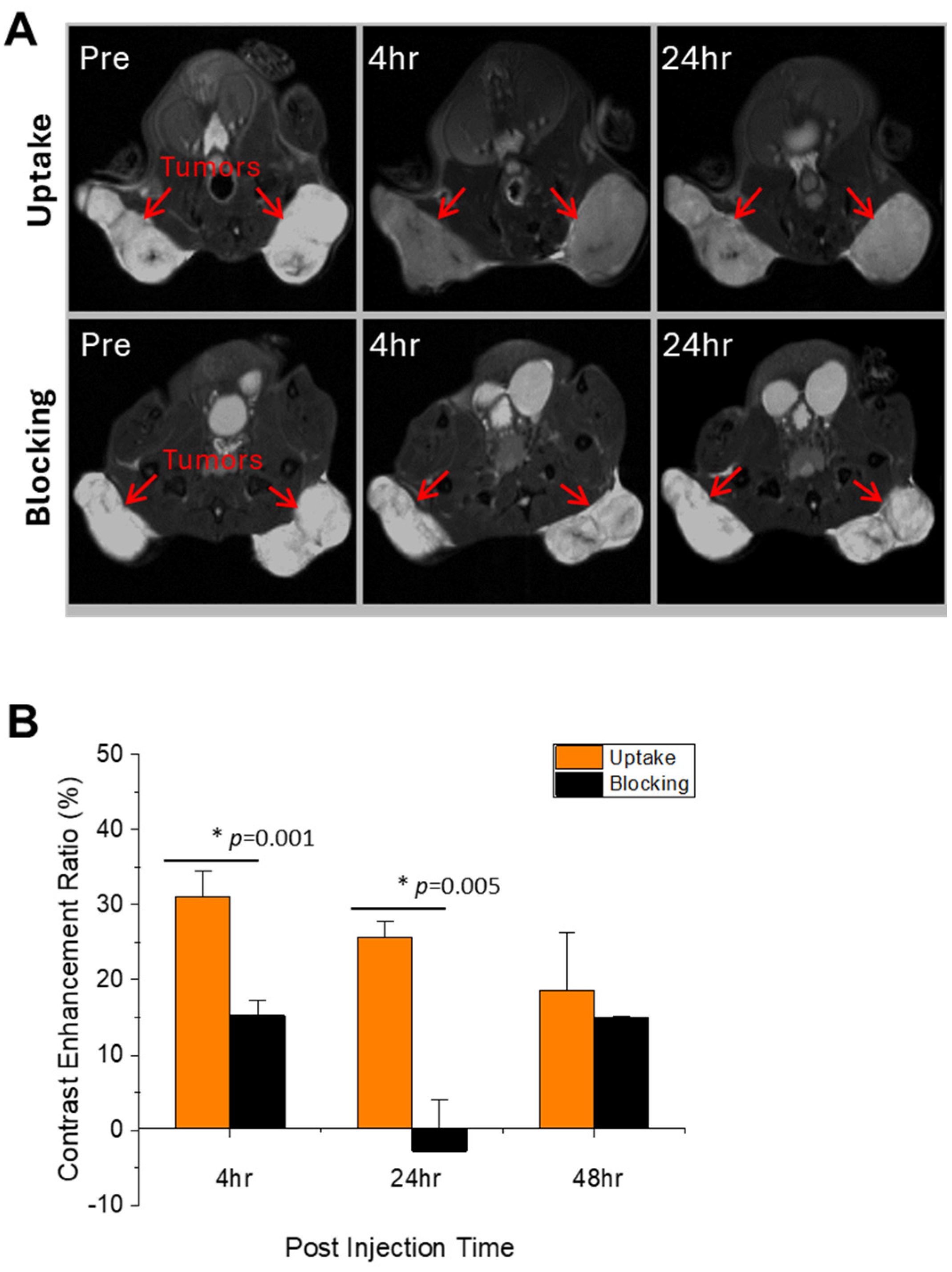 Nanomaterials 14 01177 g009