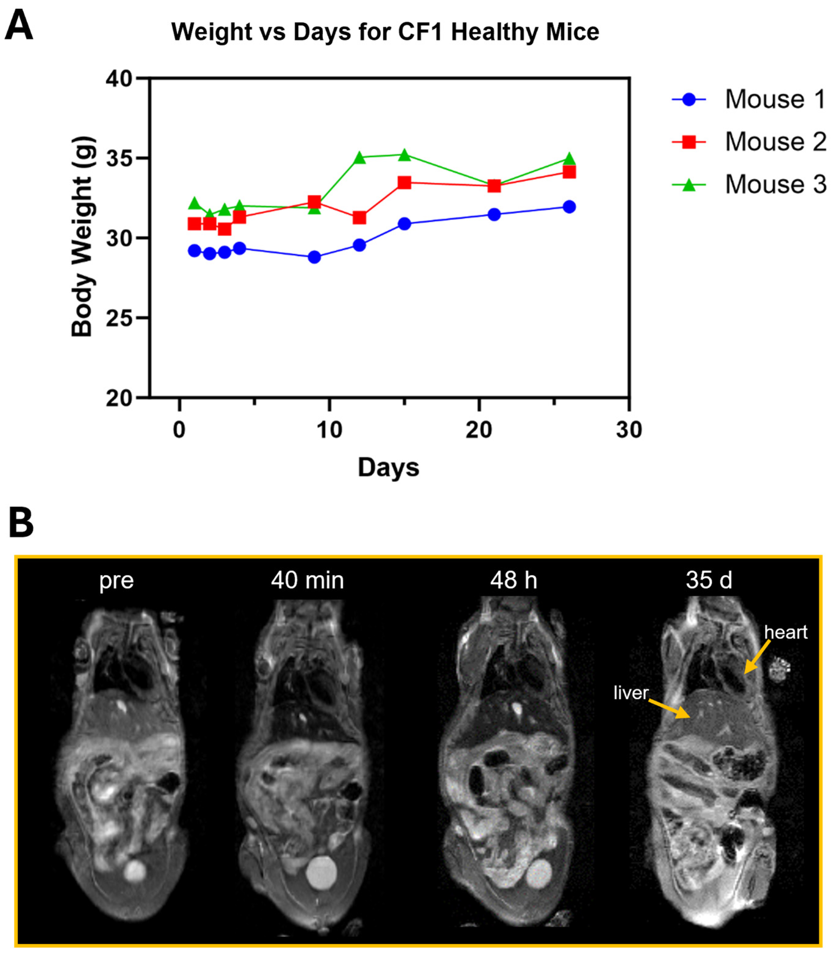 Nanomaterials 14 01177 g012