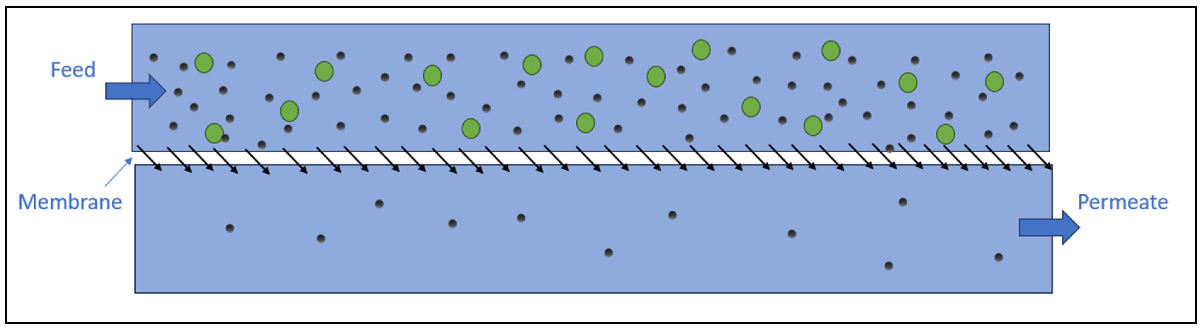 Nanomaterials 14 01179 g006