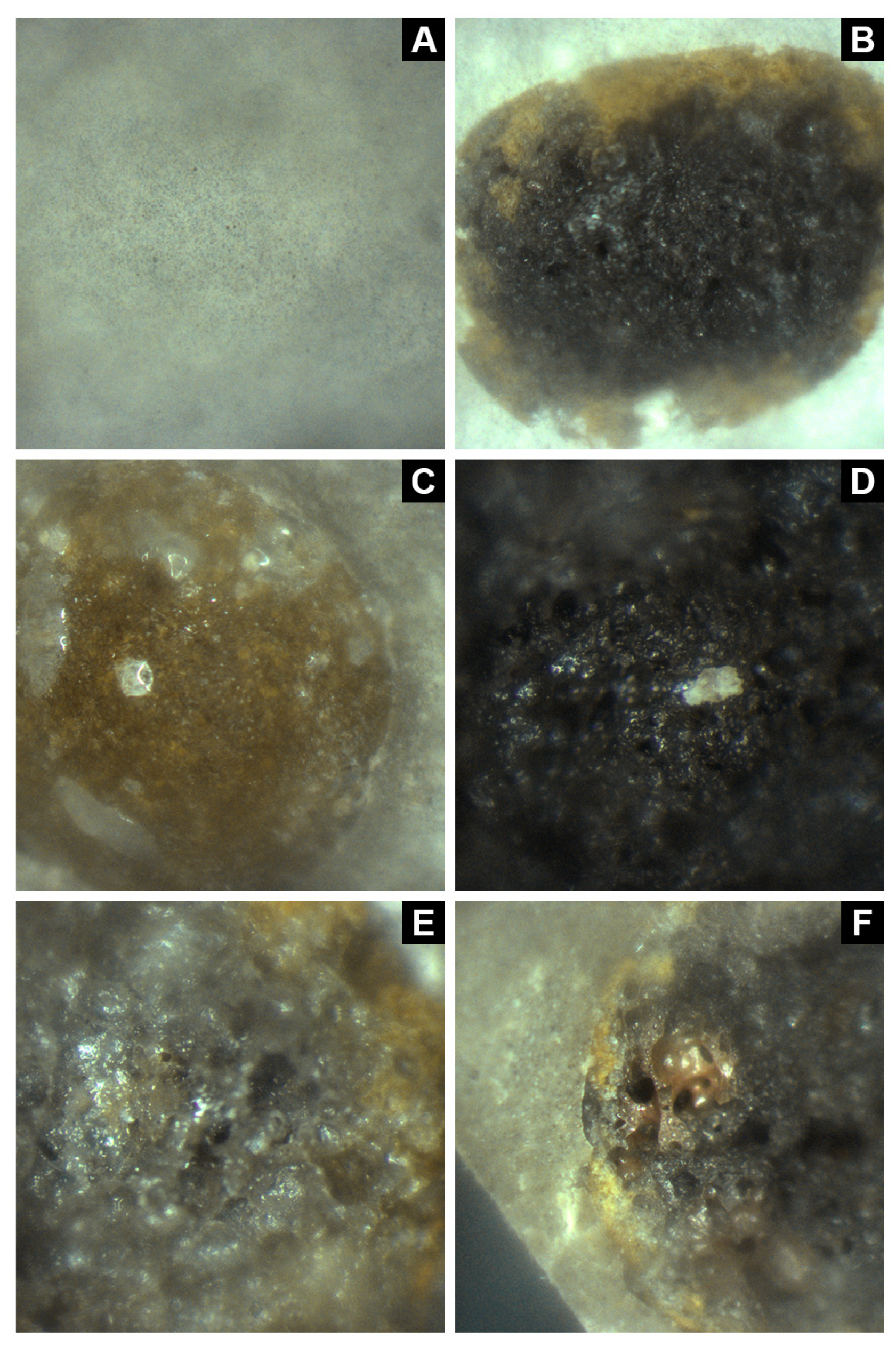 Nanomaterials 14 01180 g006