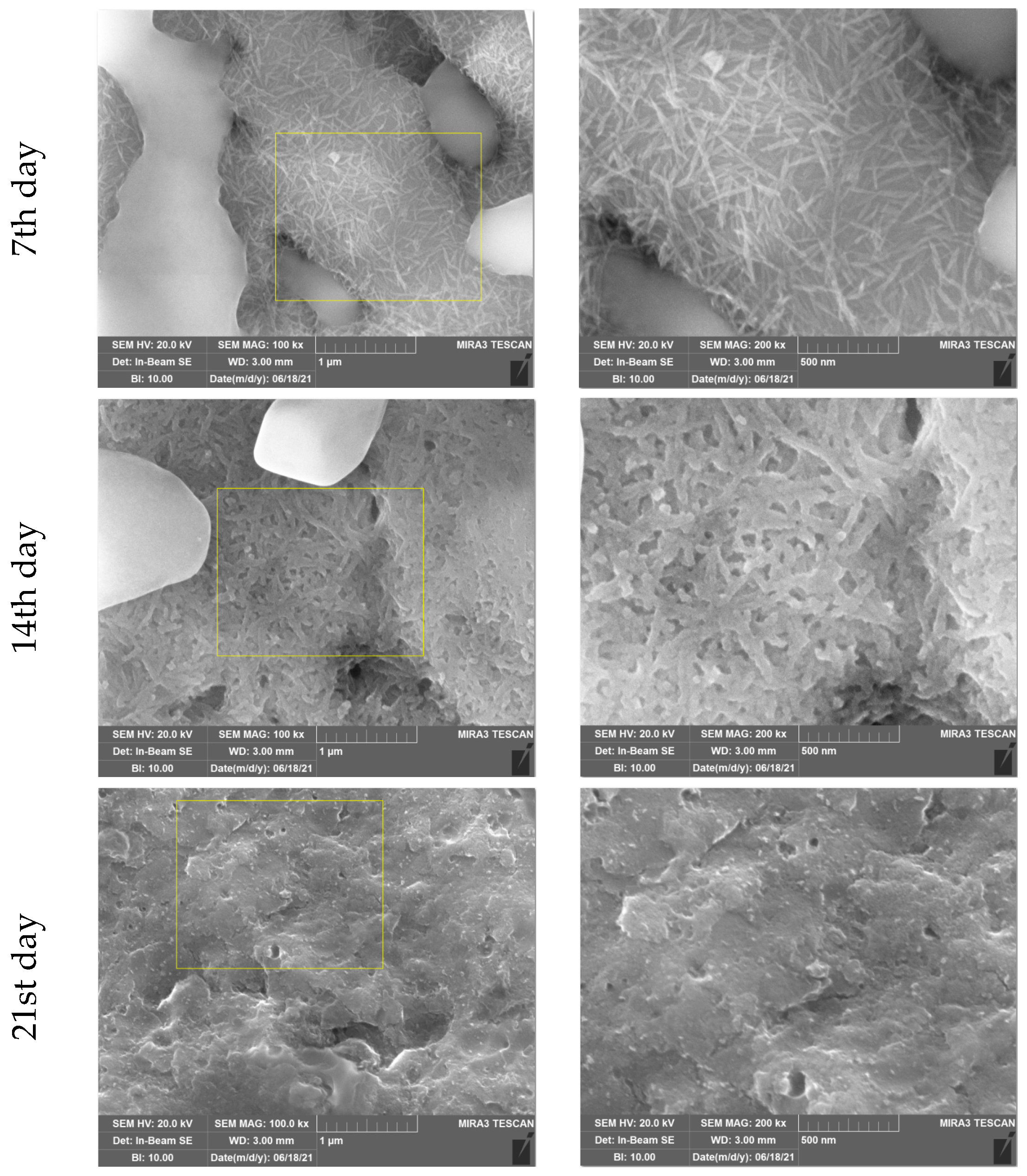 Nanomaterials 14 01181 g002b