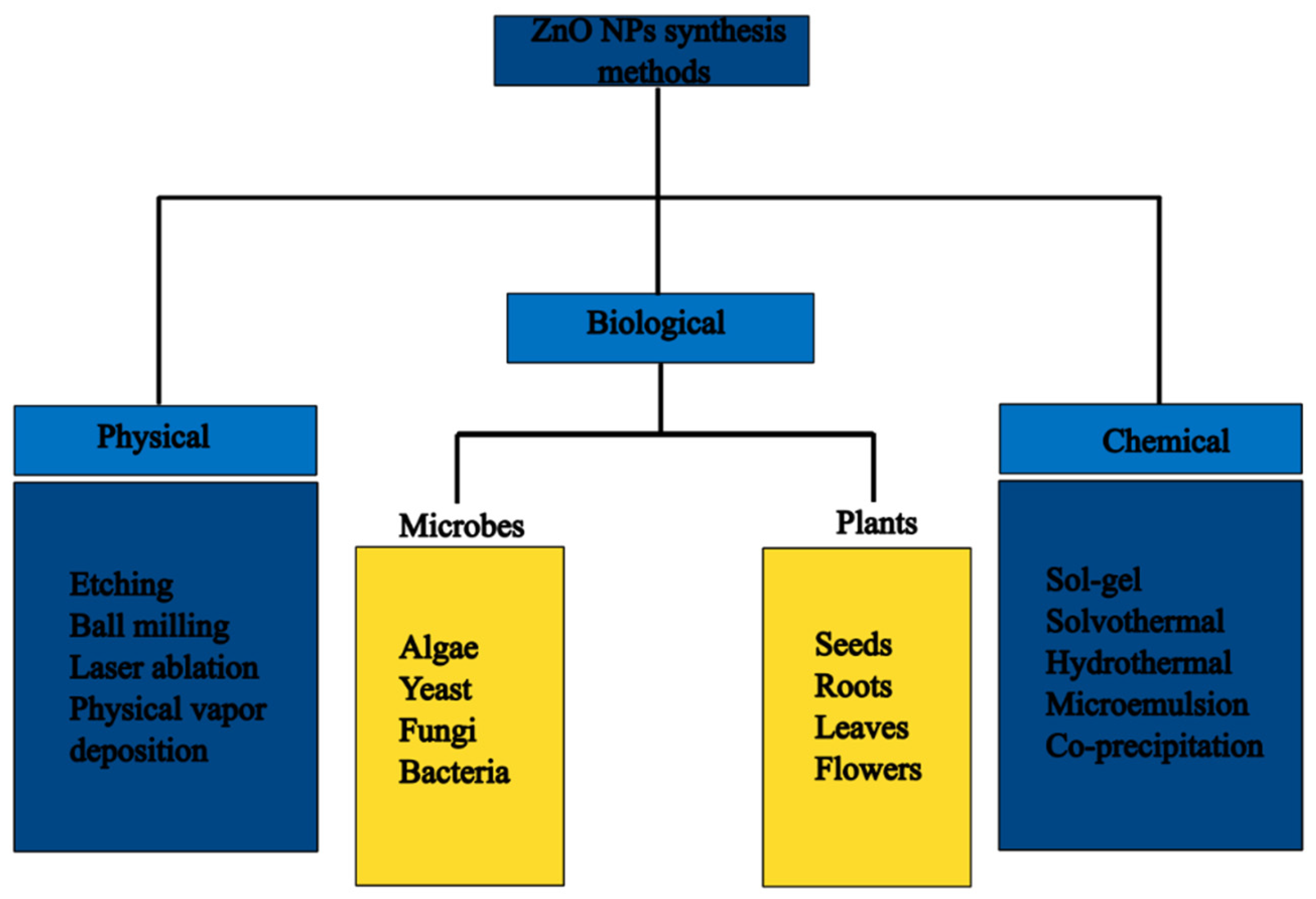 Nanomaterials 14 01182 g002