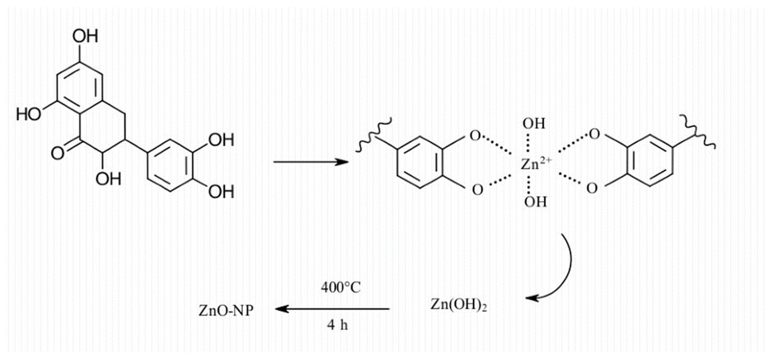Nanomaterials 14 01182 g006