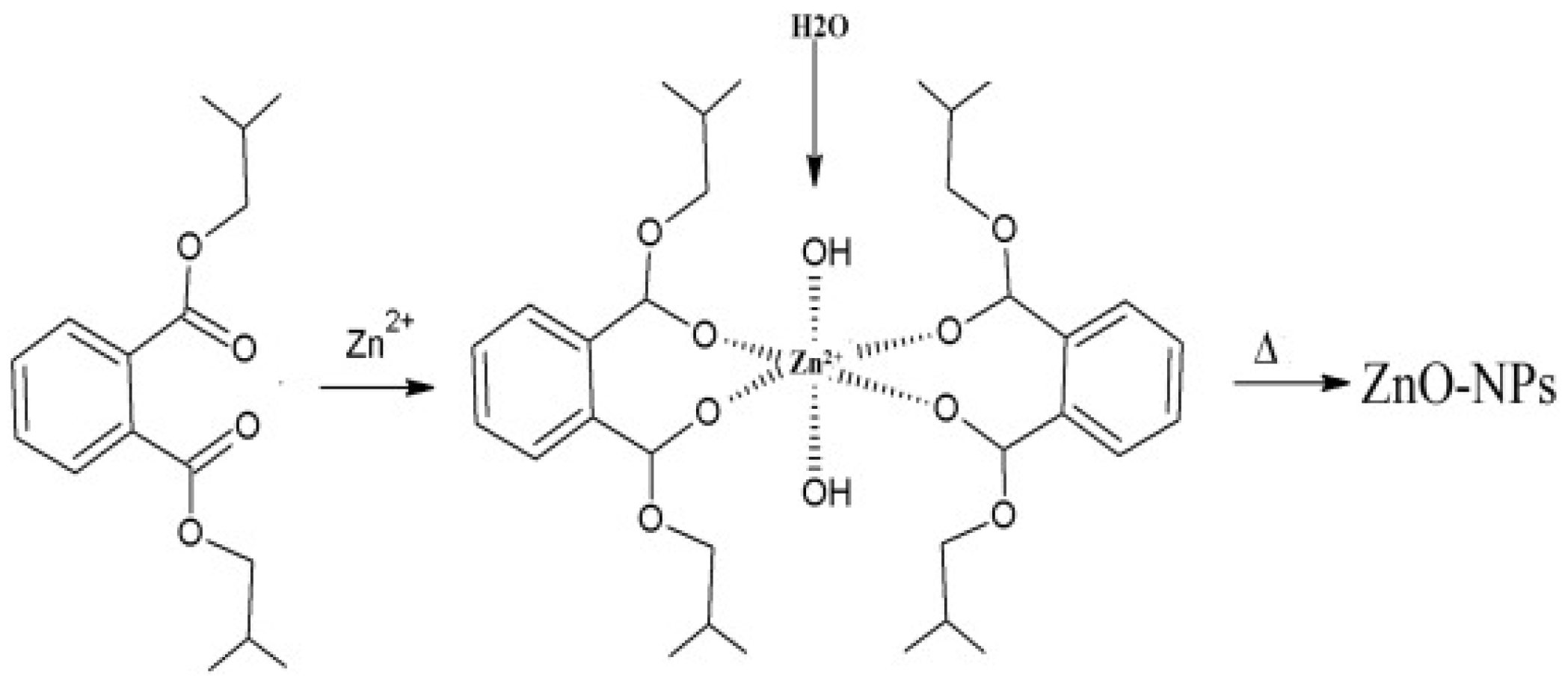 Nanomaterials 14 01182 g007