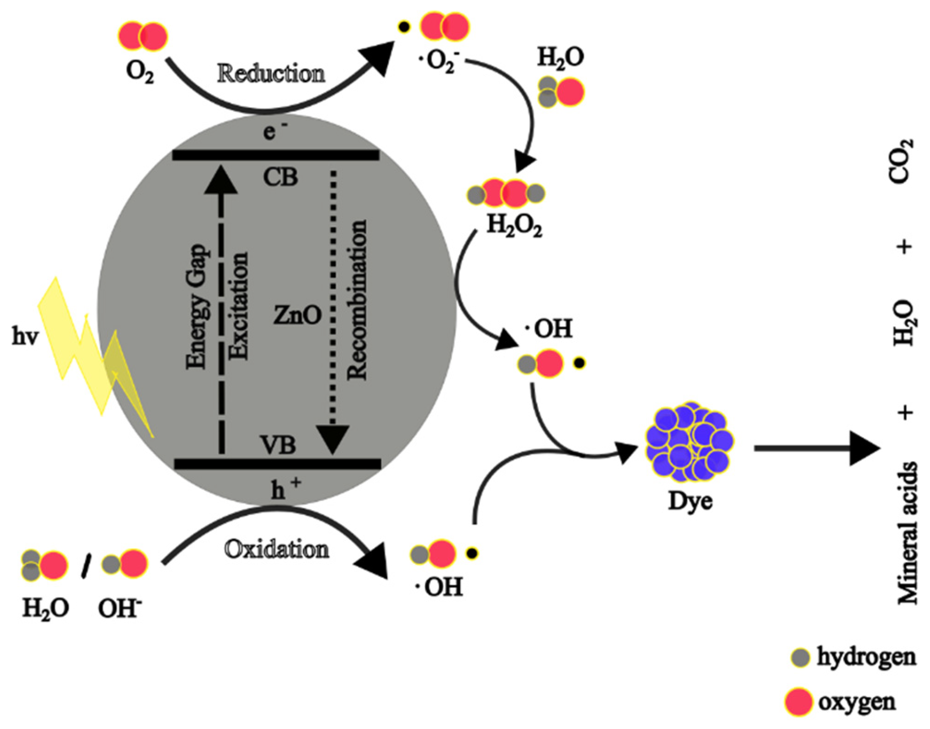 Nanomaterials 14 01182 g010