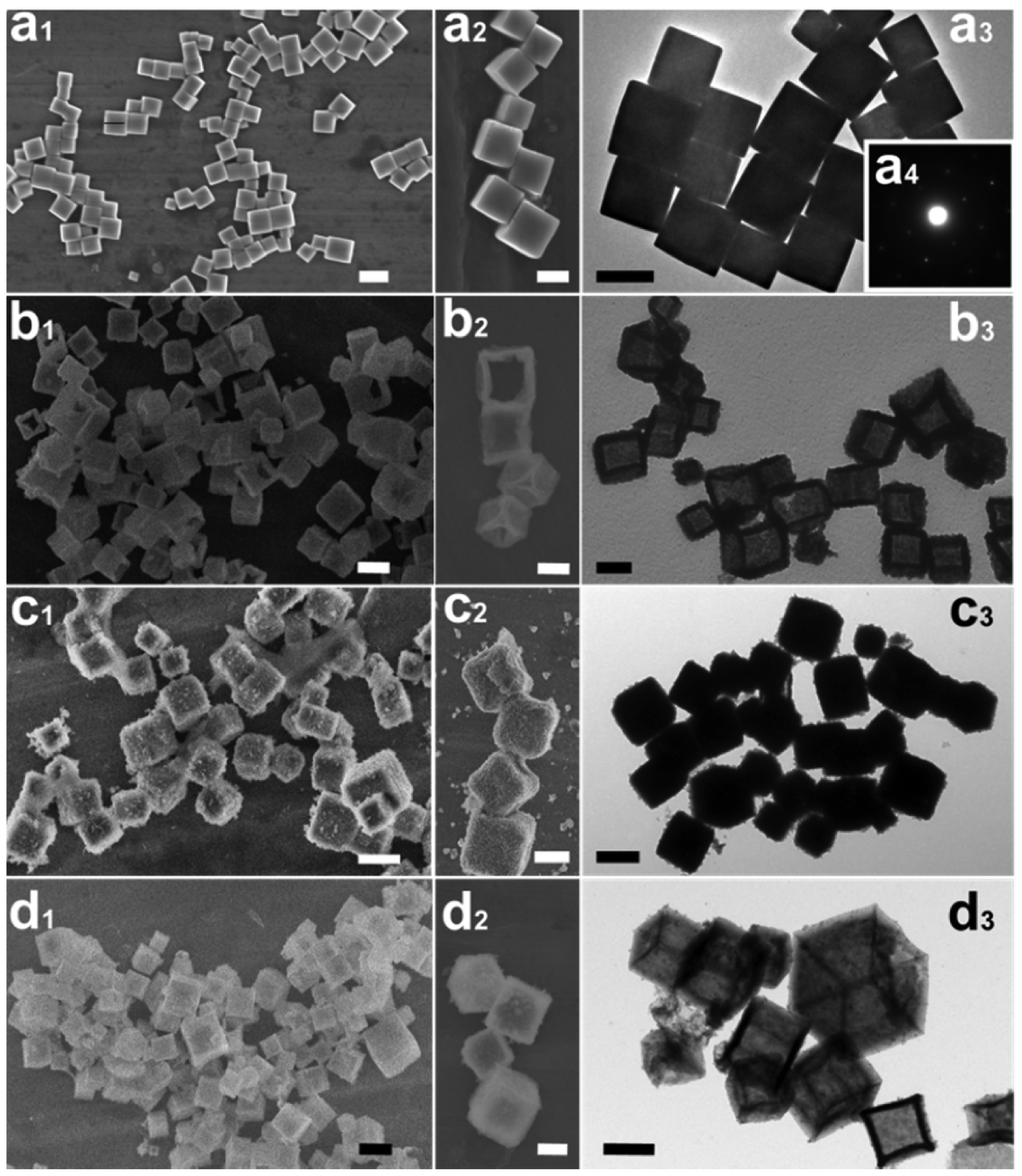 Nanomaterials 14 01190 g002