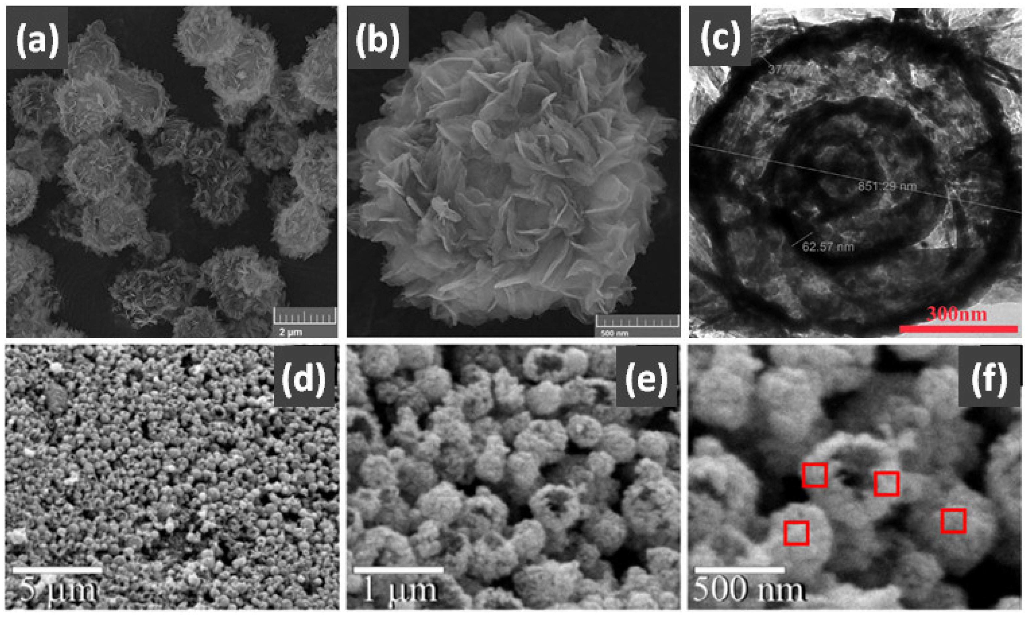 Nanomaterials 14 01190 g015