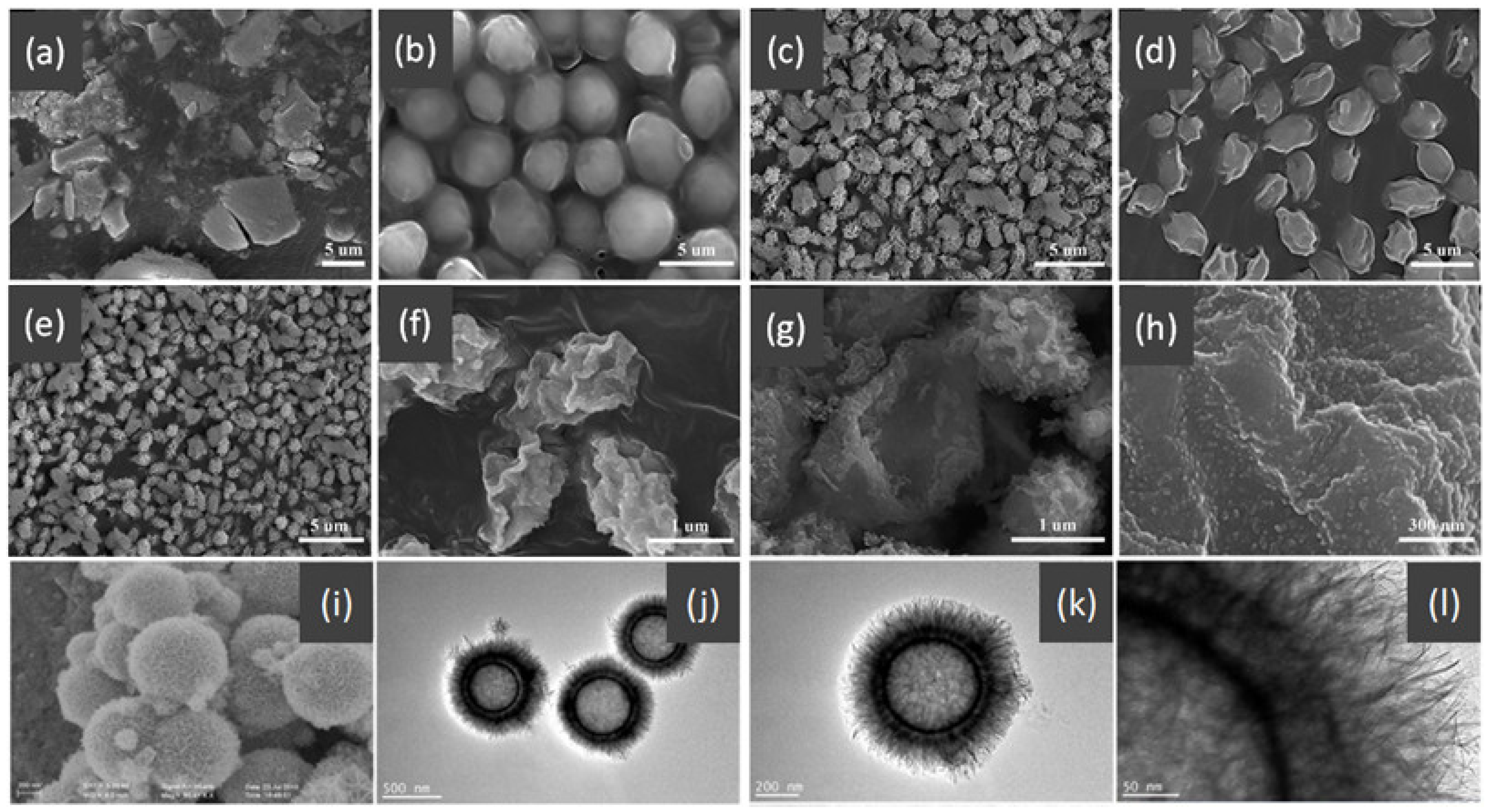 Nanomaterials 14 01190 g018