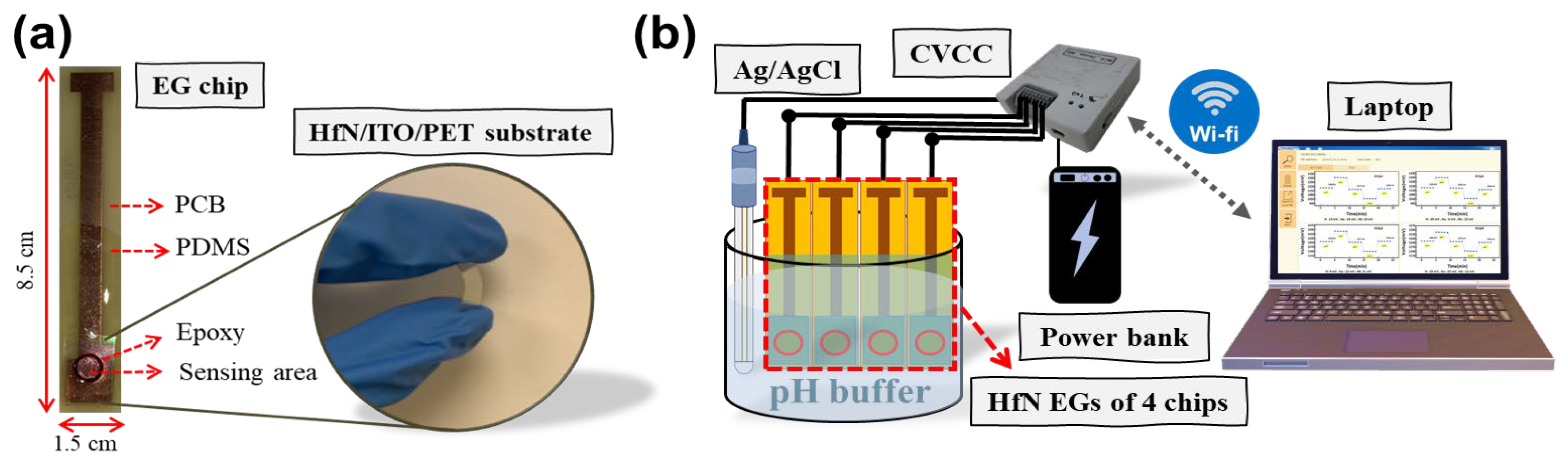 Nanomaterials 14 01191 g001