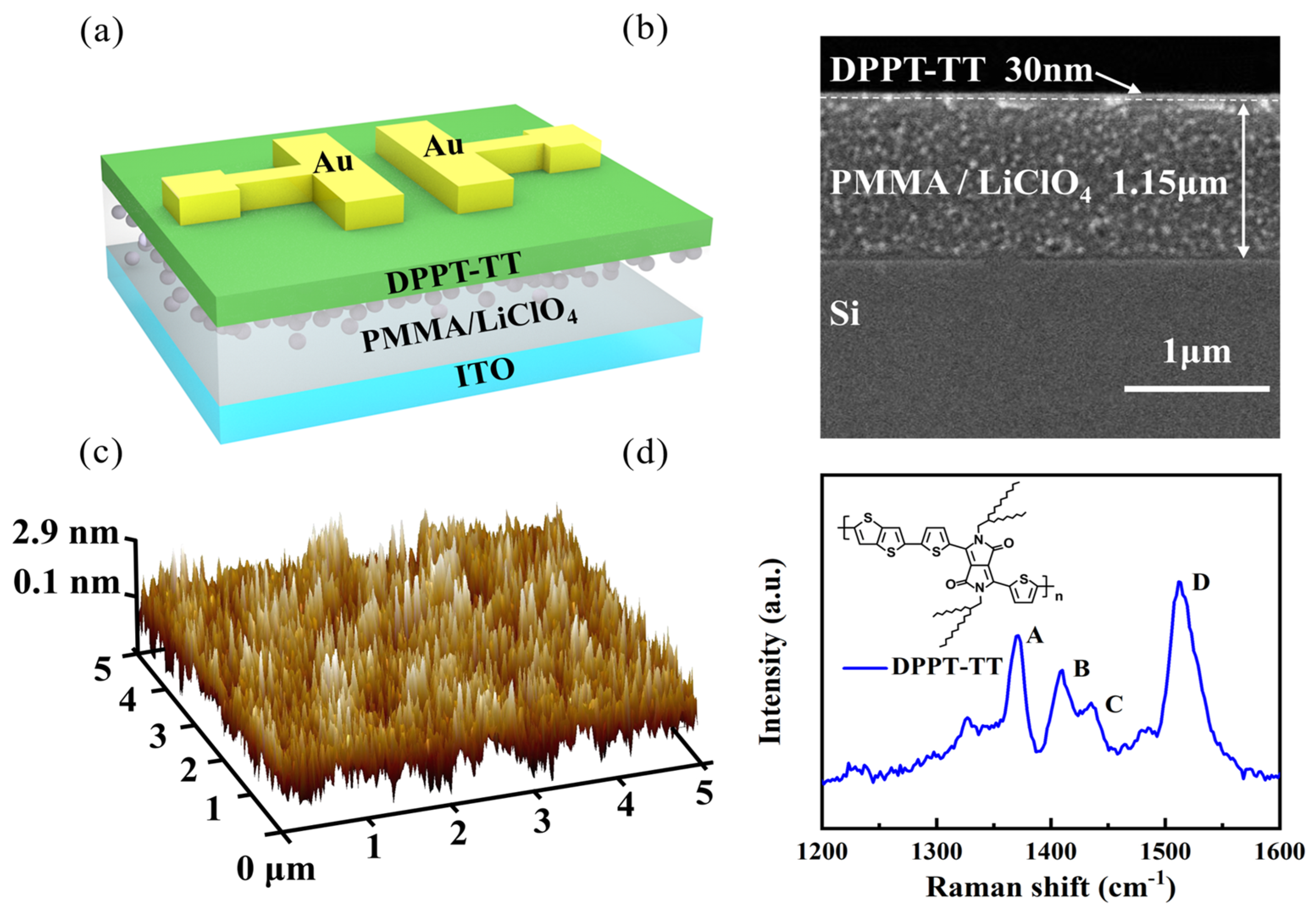 Nanomaterials 14 01195 g001