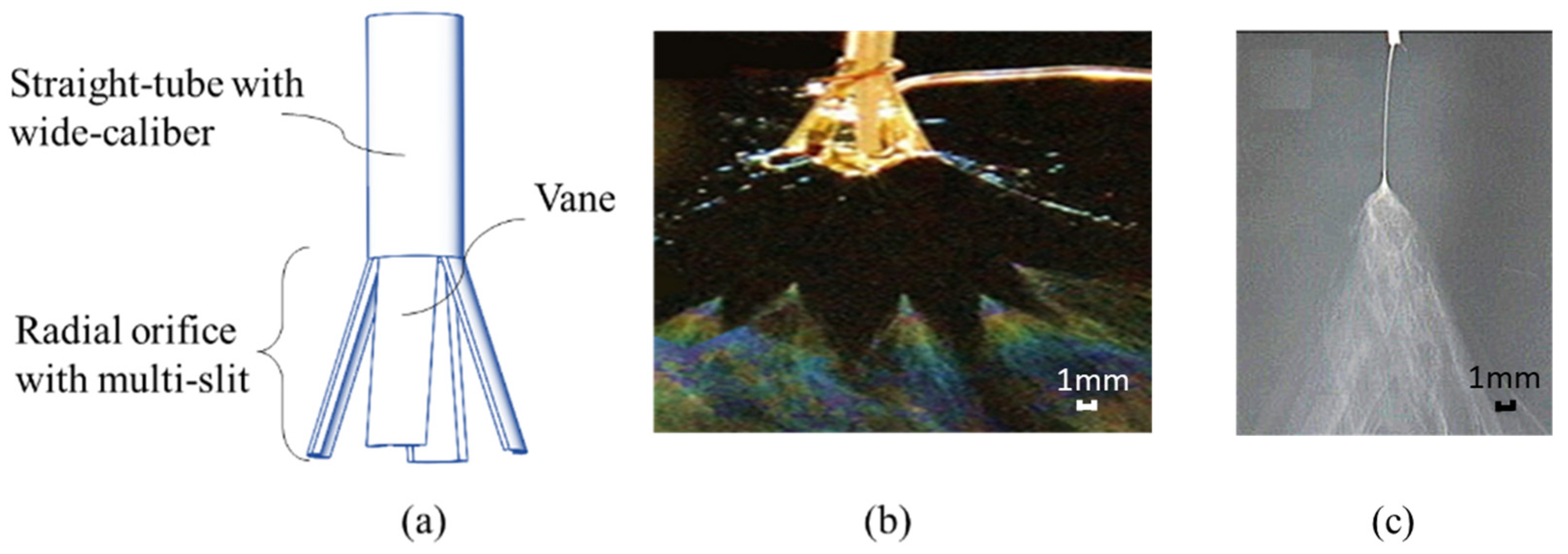 Nanomaterials 14 01199 g001