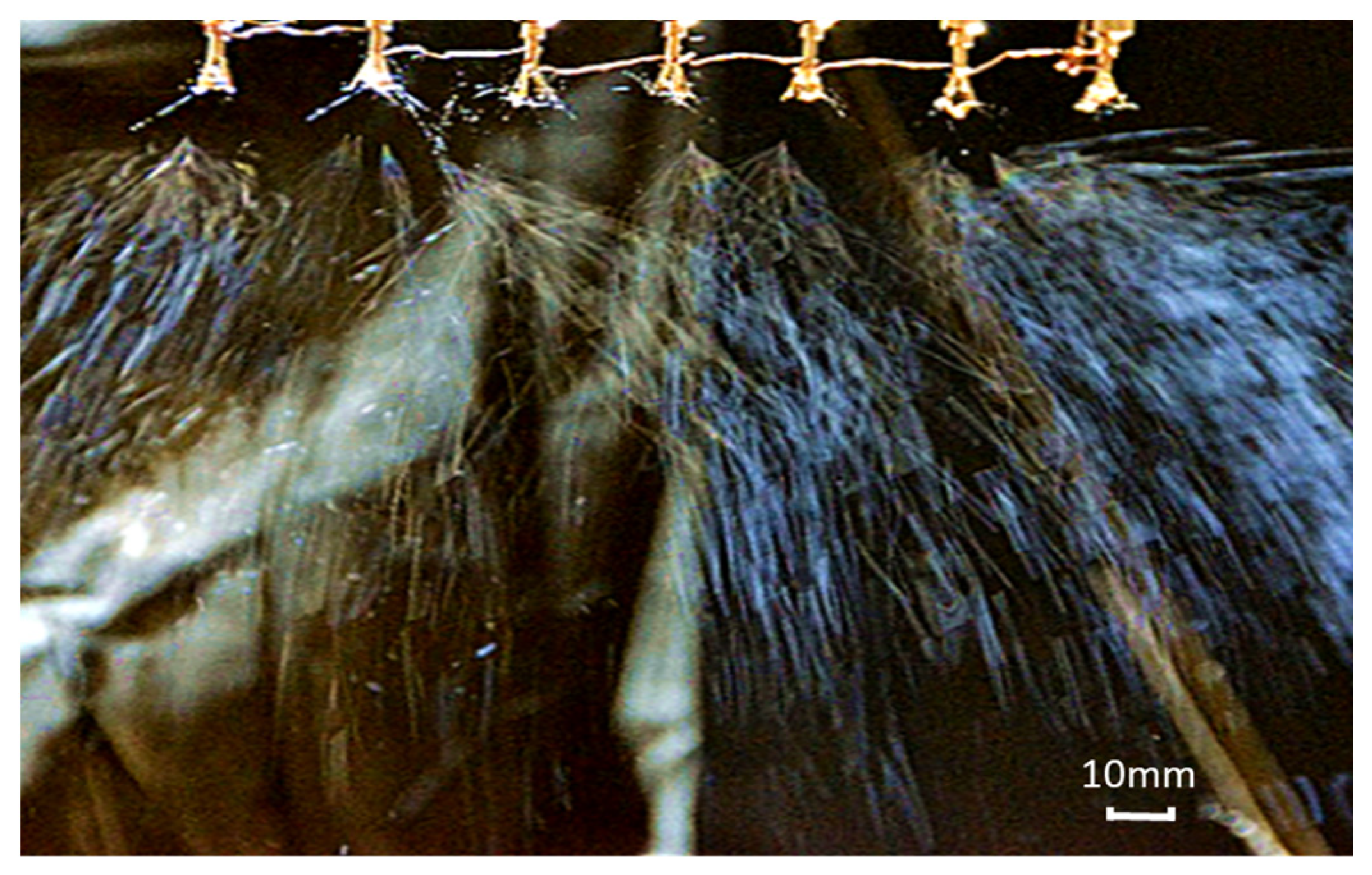 Nanomaterials 14 01199 g016