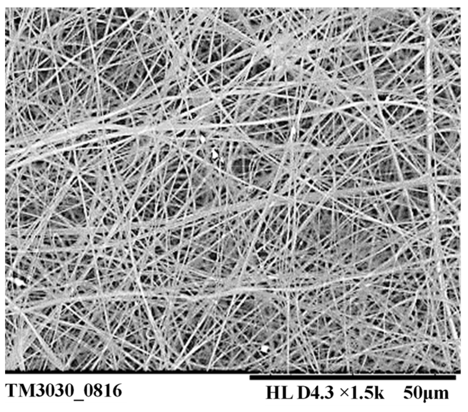 Nanomaterials 14 01199 g017