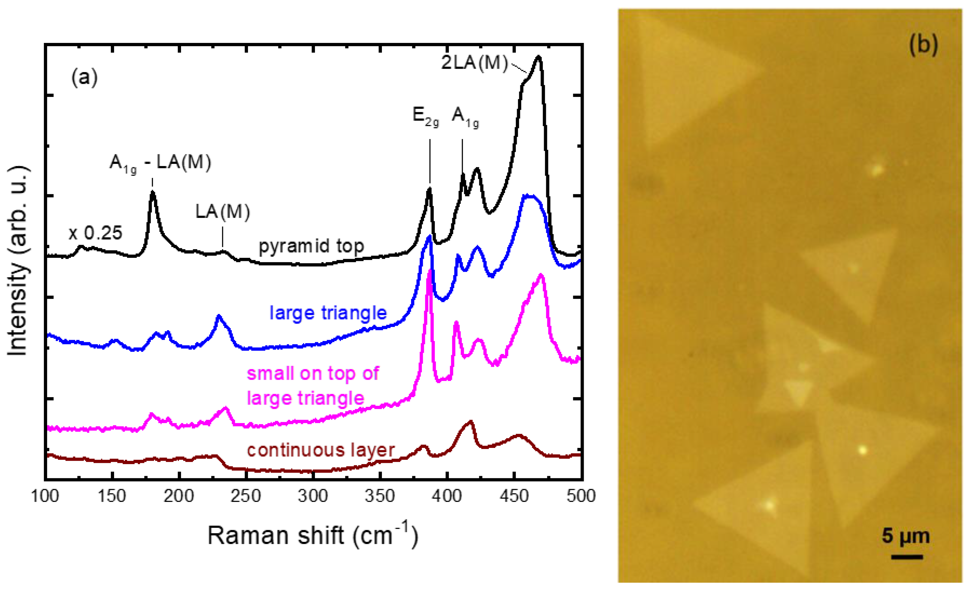 Nanomaterials 14 01213 g005