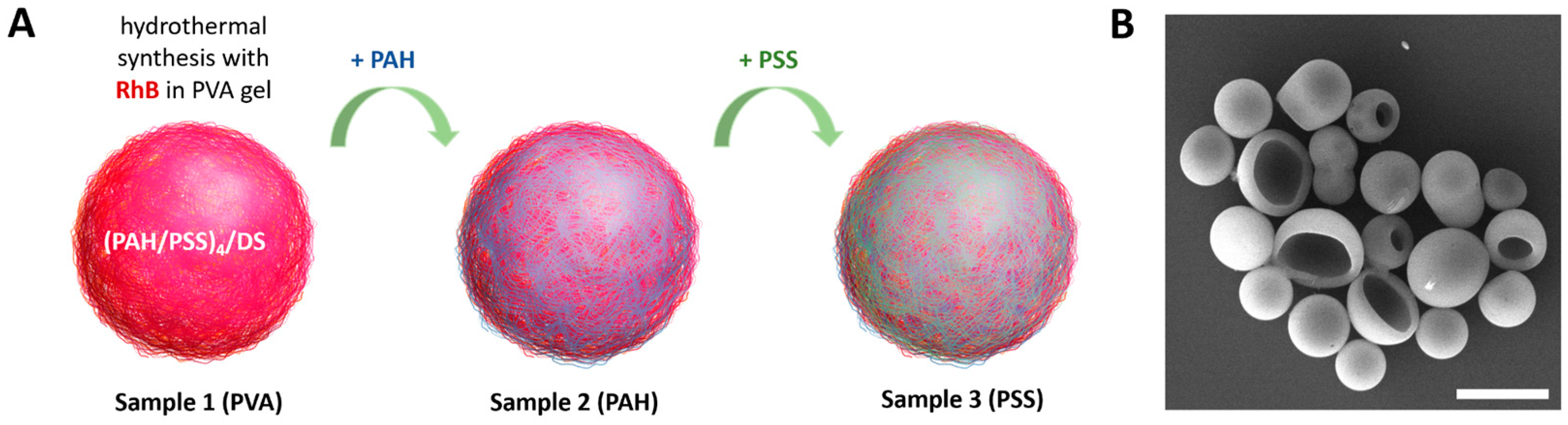 Nanomaterials 14 01215 g001