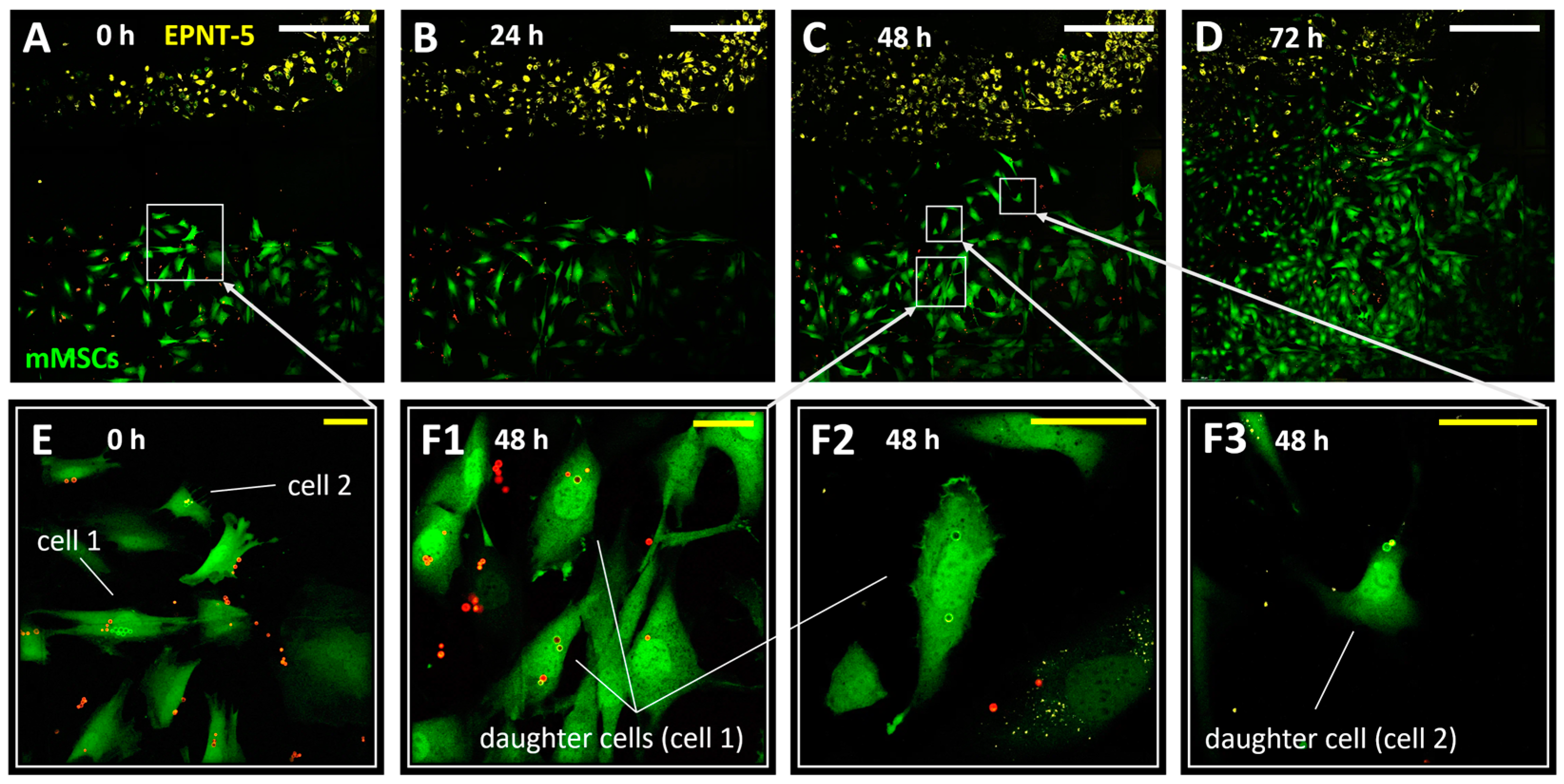 Nanomaterials 14 01215 g005