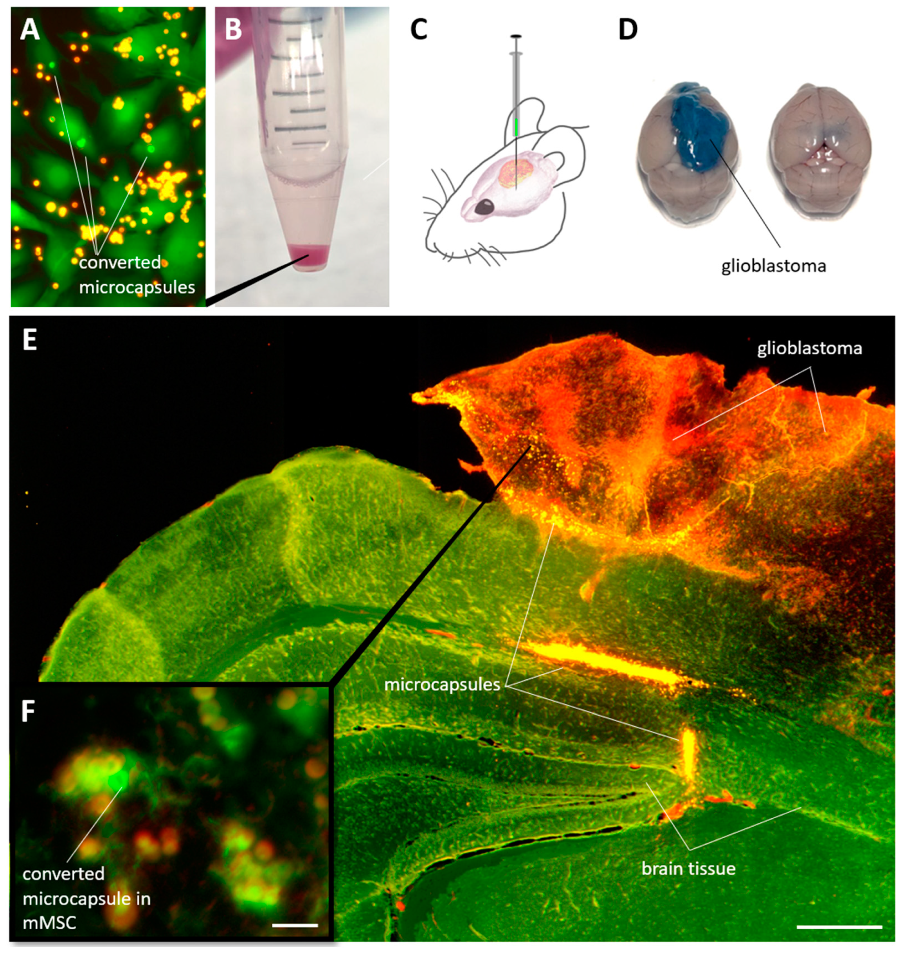 Nanomaterials 14 01215 g007