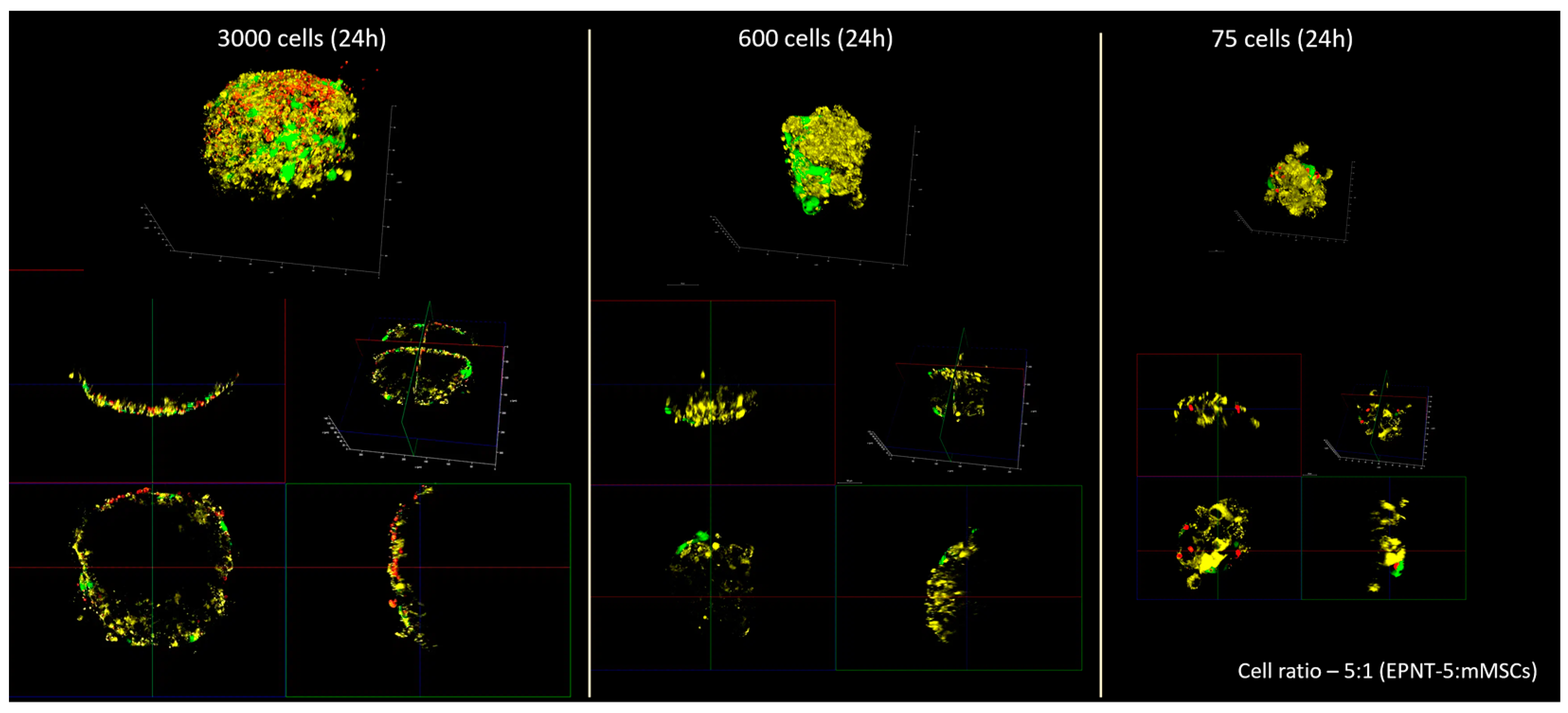 Nanomaterials 14 01215 g0a2