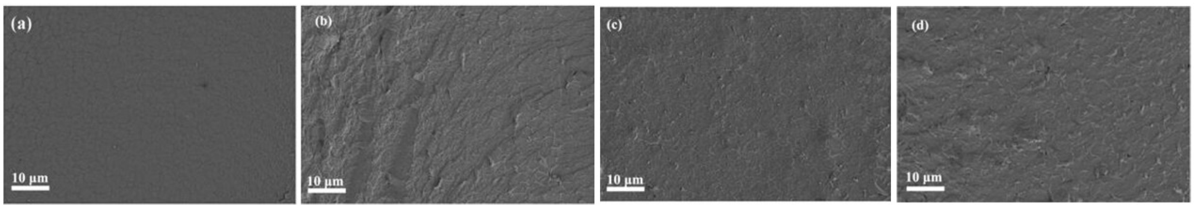 Nanomaterials 14 01217 g003