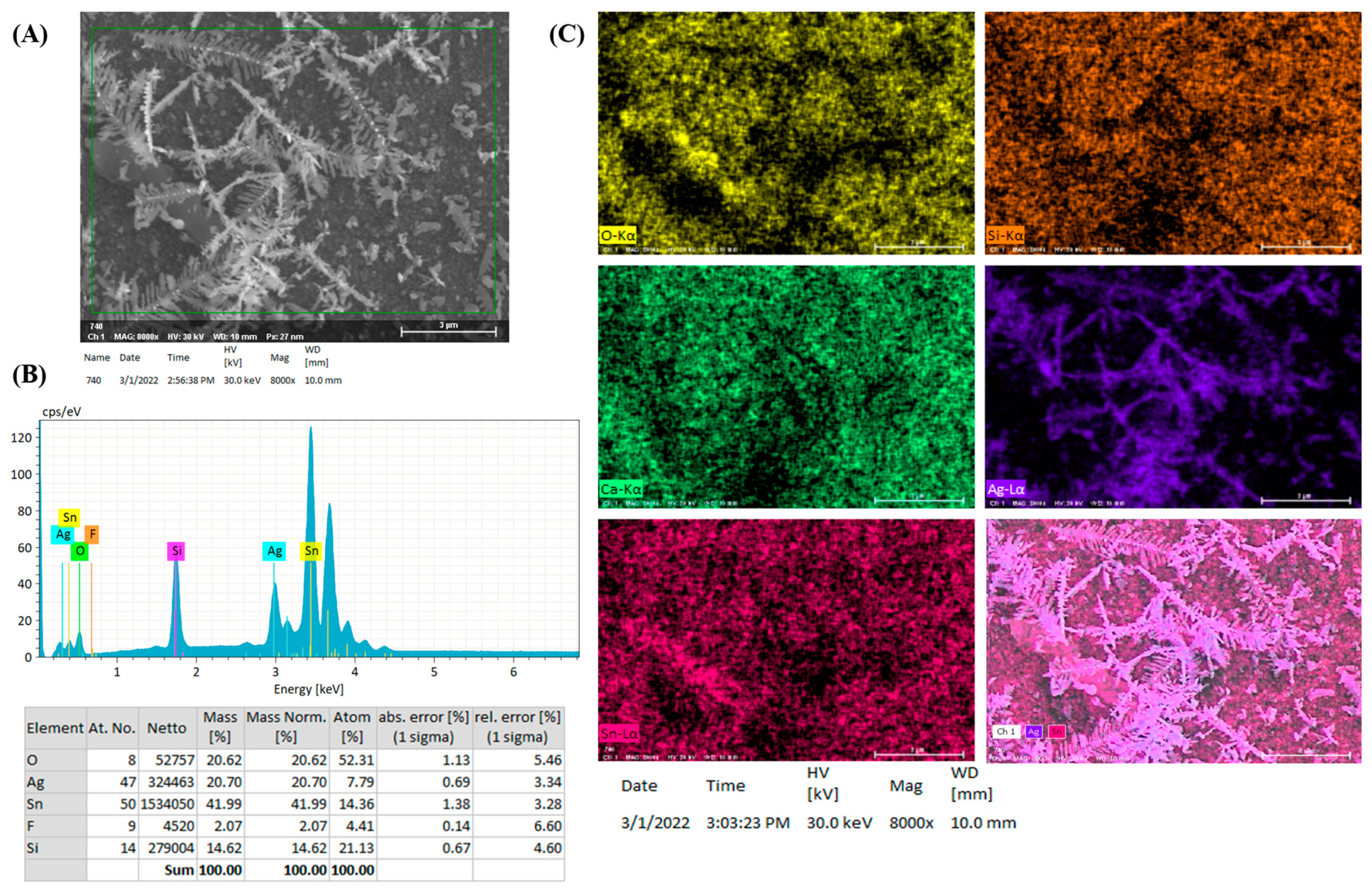 Nanomaterials 14 01226 g001