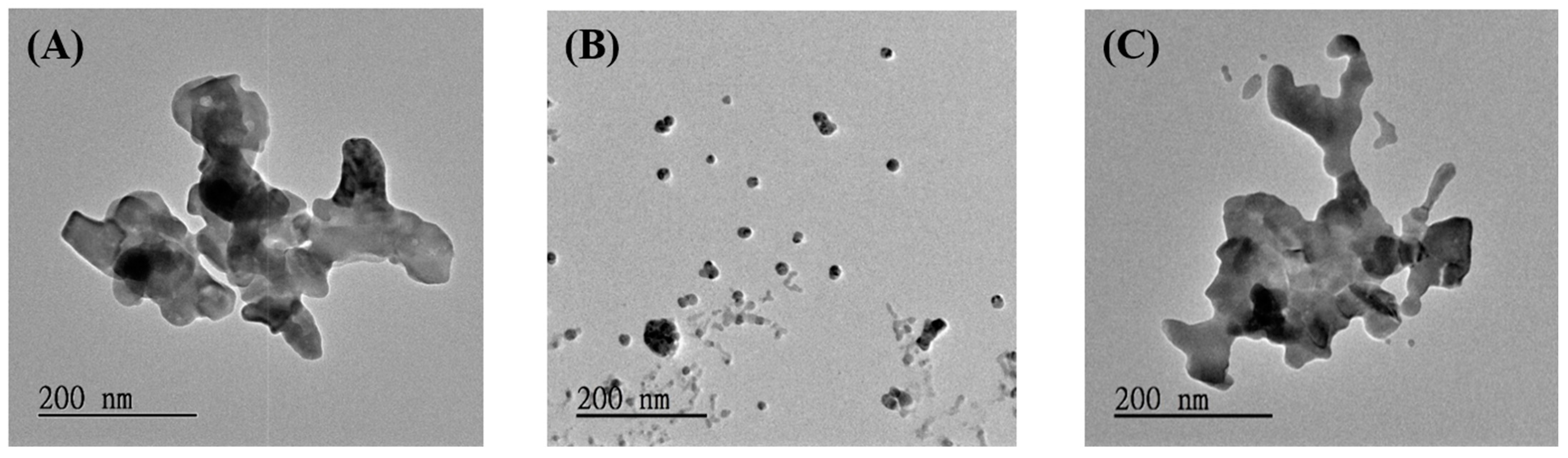 Nanomaterials 14 01226 g008