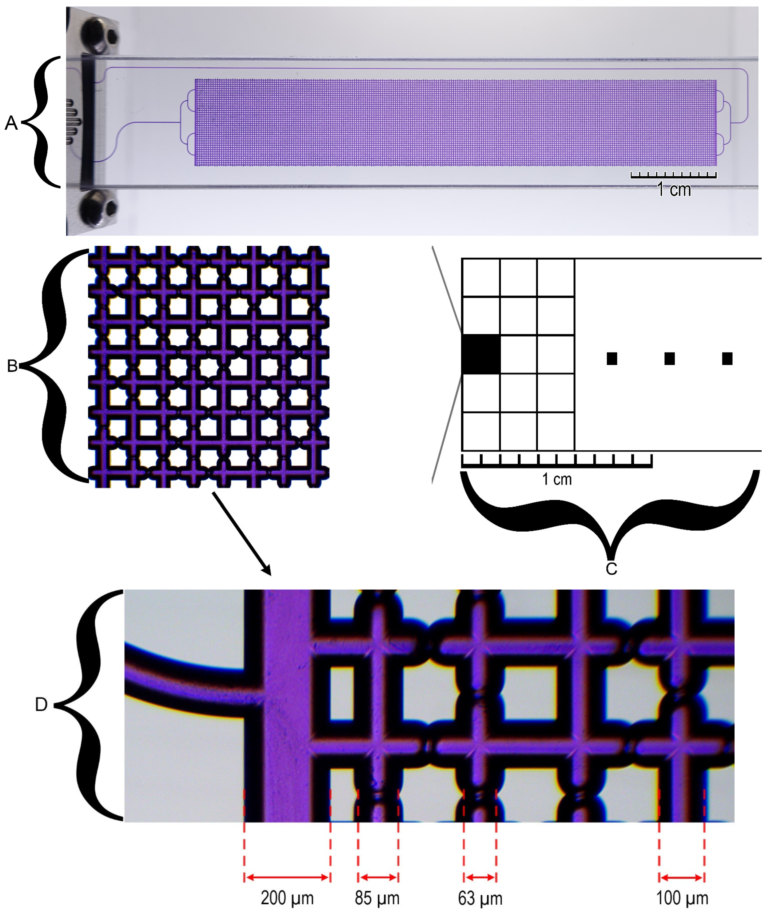 Nanomaterials 14 01233 g003