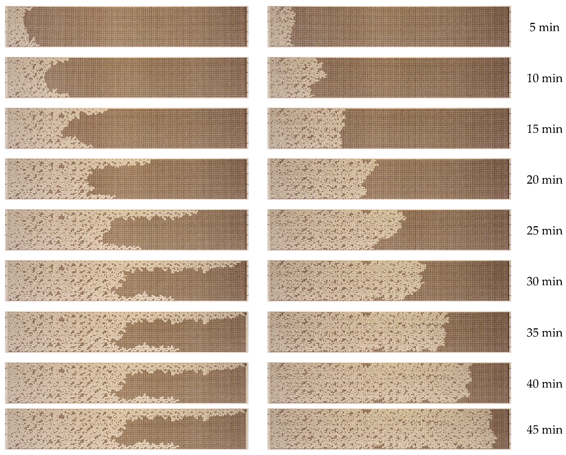 Nanomaterials 14 01233 g009a