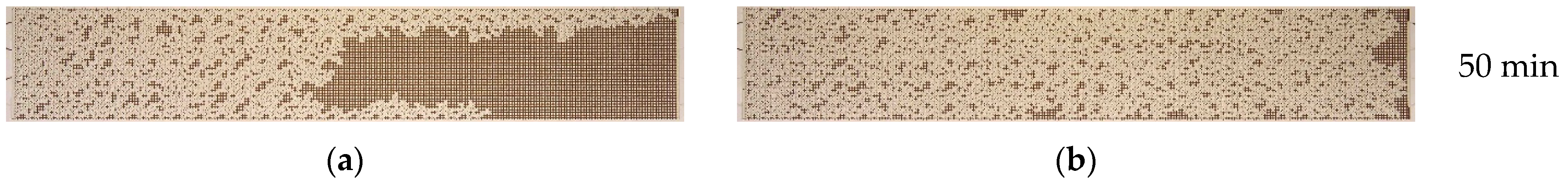 Nanomaterials 14 01233 g009b