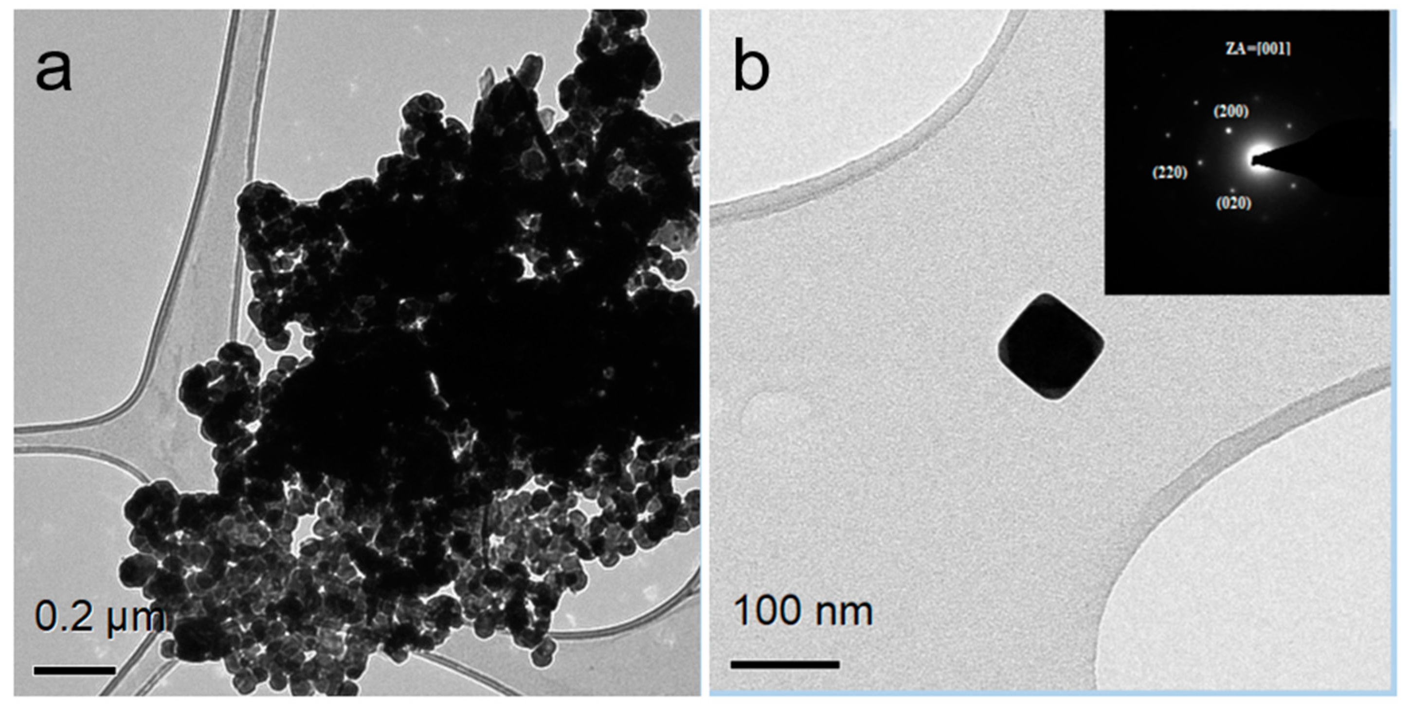 Nanomaterials 14 01235 g002 Nanomaterials 14 01235 g002