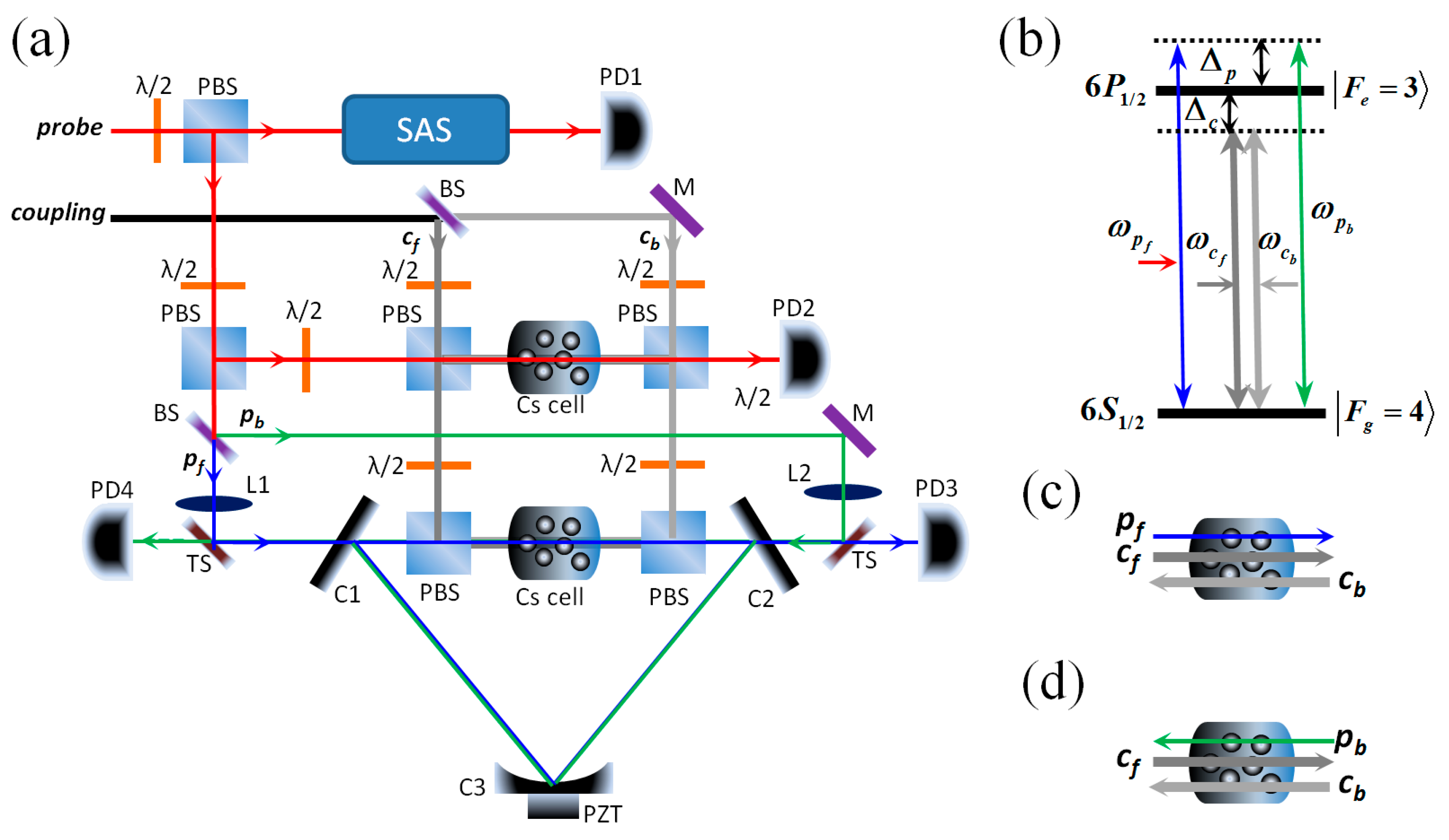 Nanomaterials 14 01236 g001