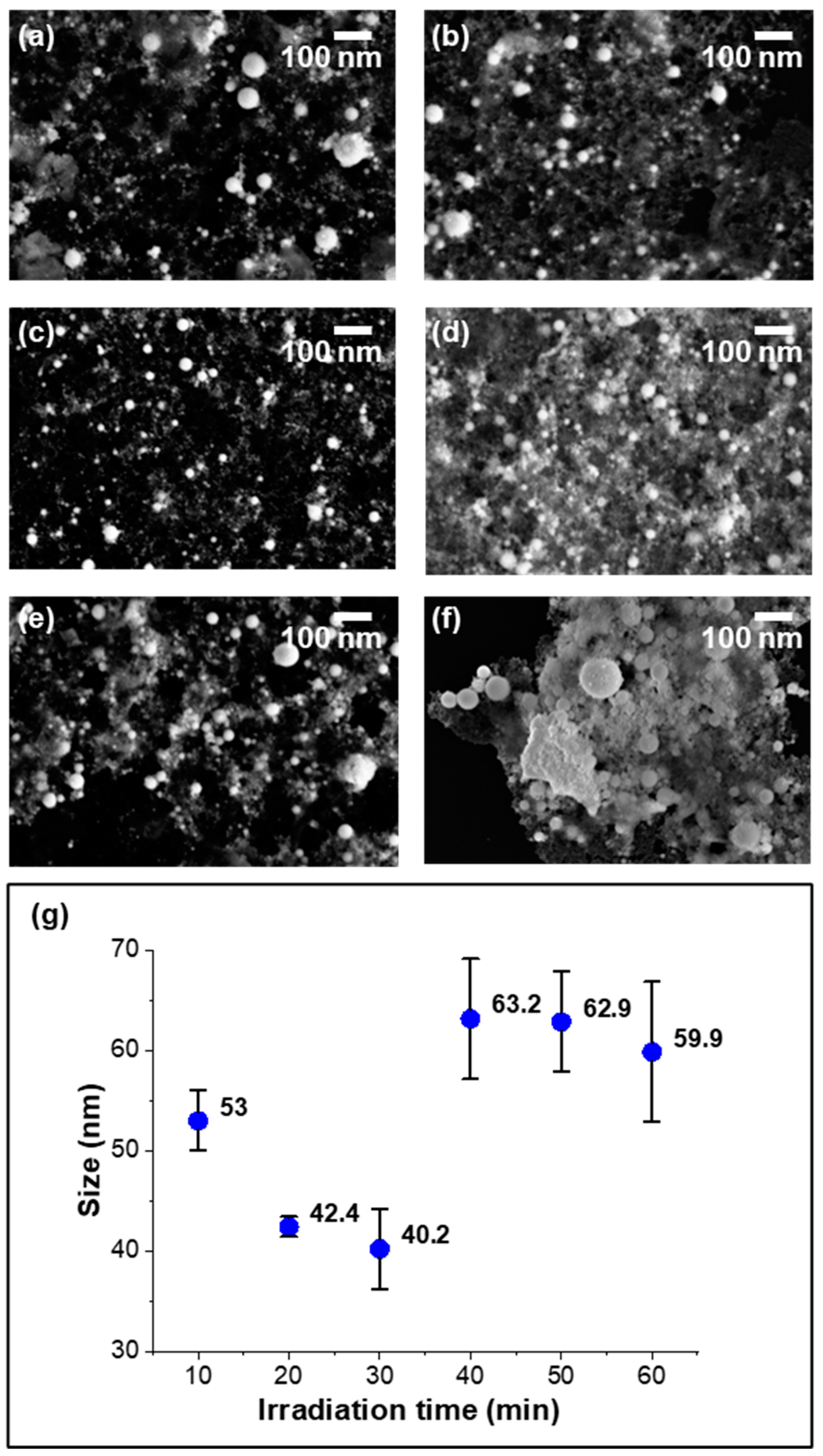 Nanomaterials 14 01238 g001