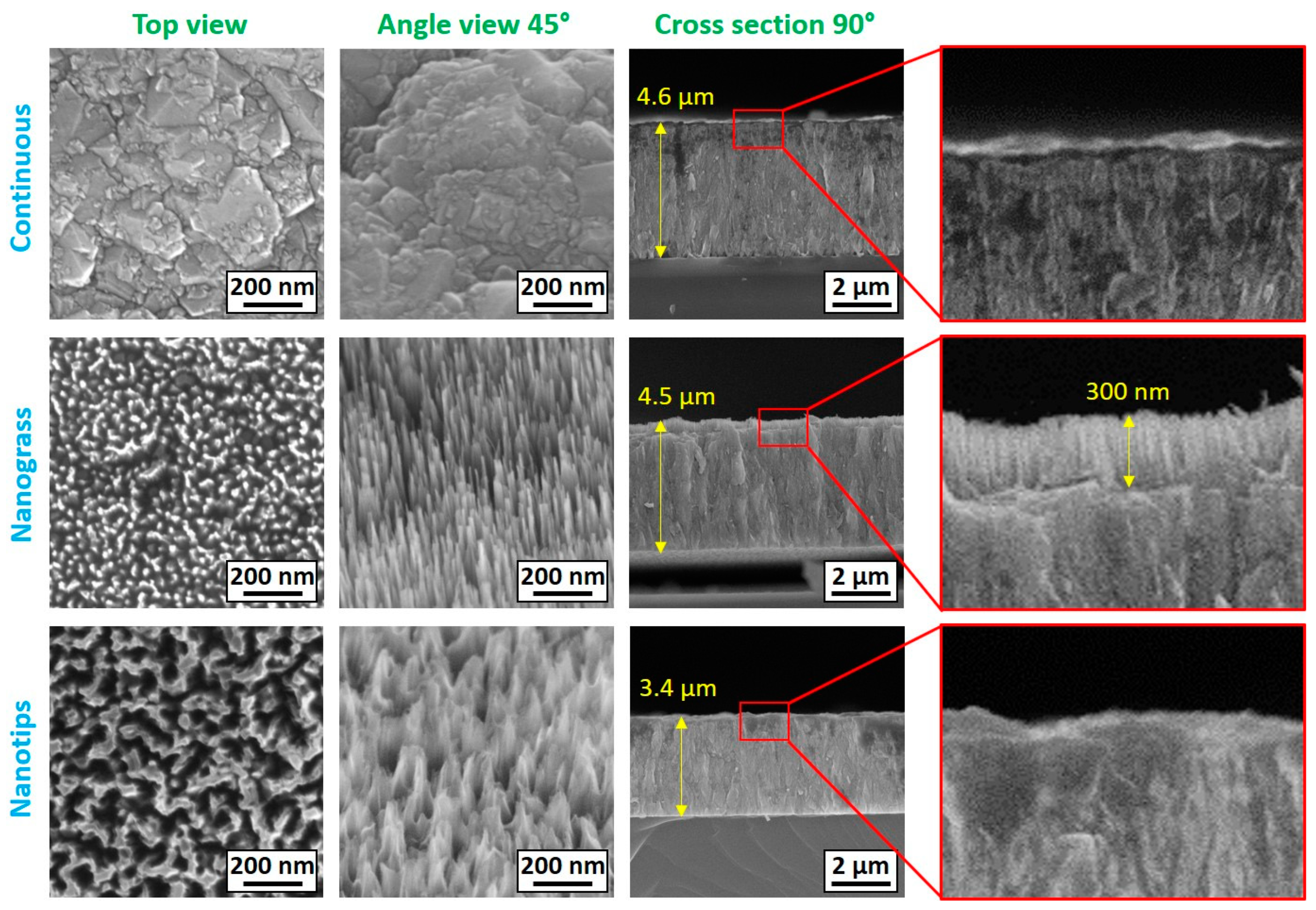 Nanomaterials 14 01241 g001