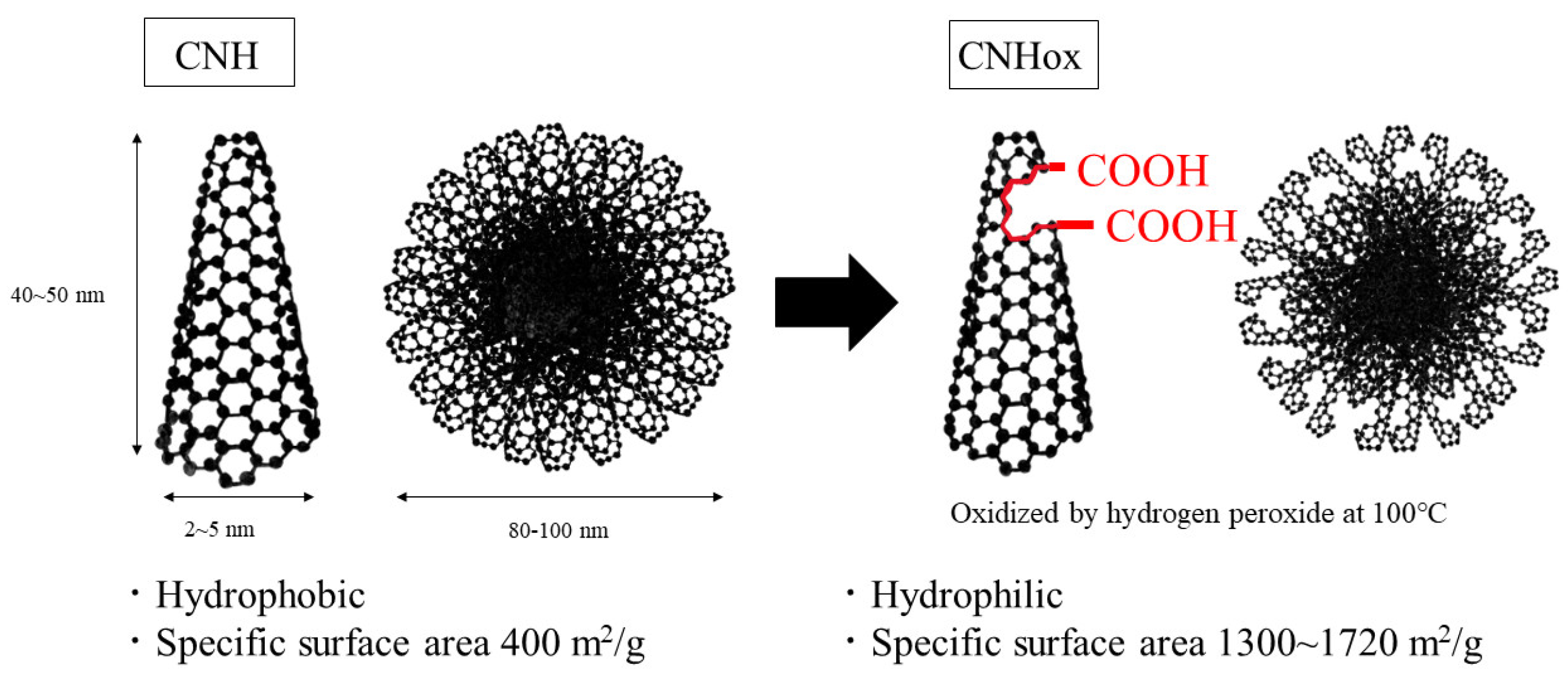 Nanomaterials 14 01247 g001 Nanomaterials 14 01247 g001