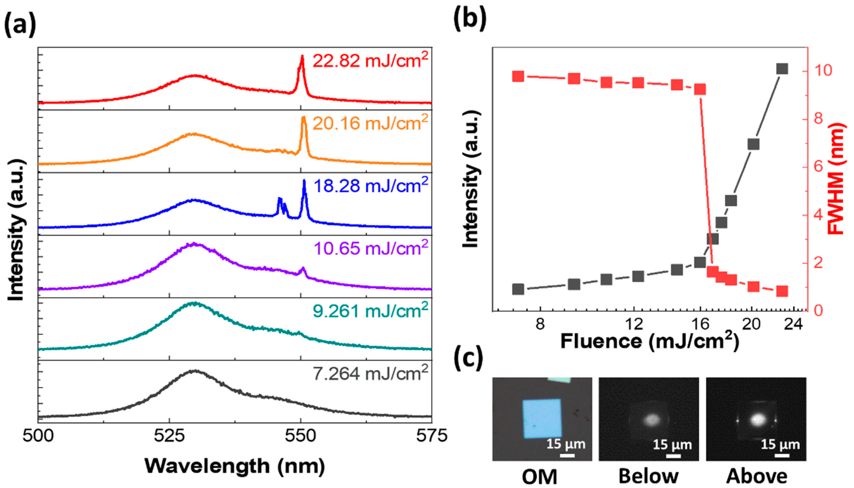 Nanomaterials 14 01248 g007