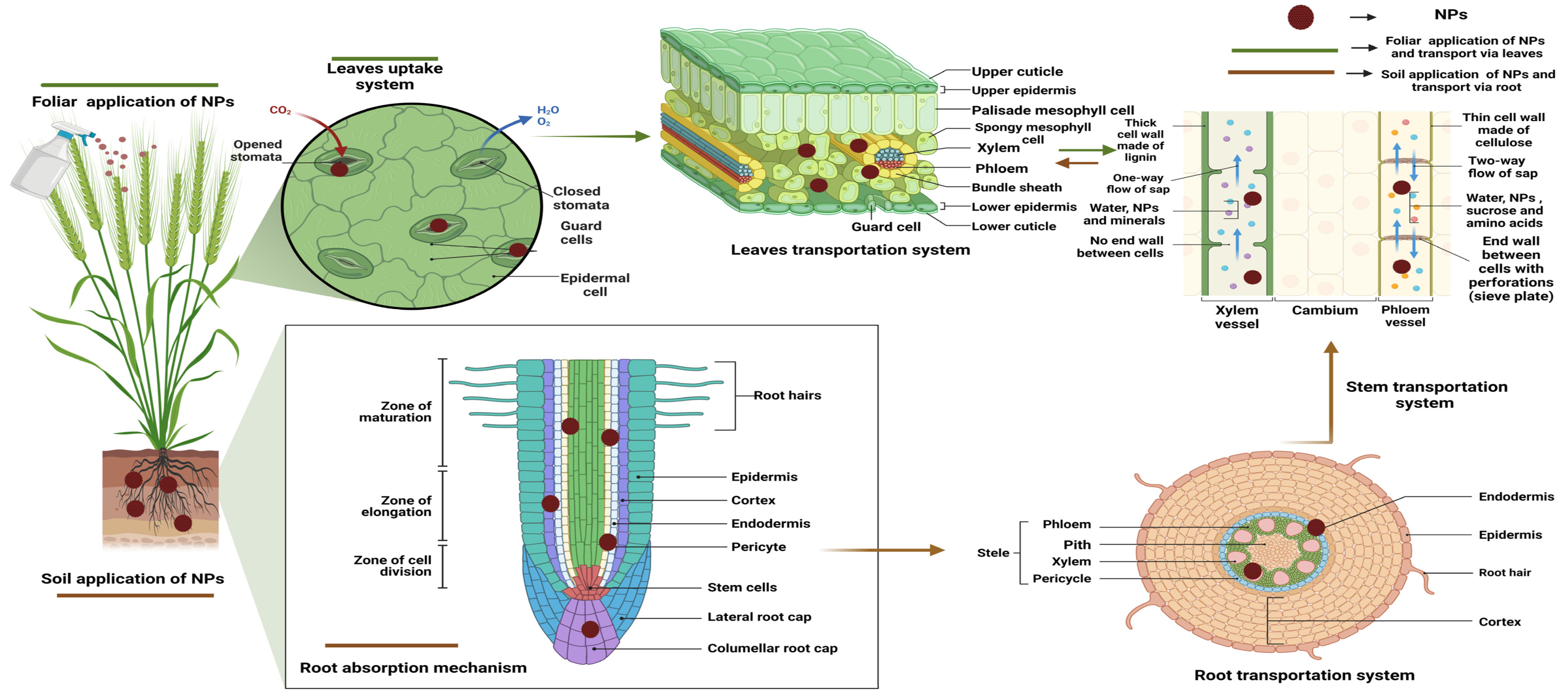 Nanomaterials 14 01249 g002