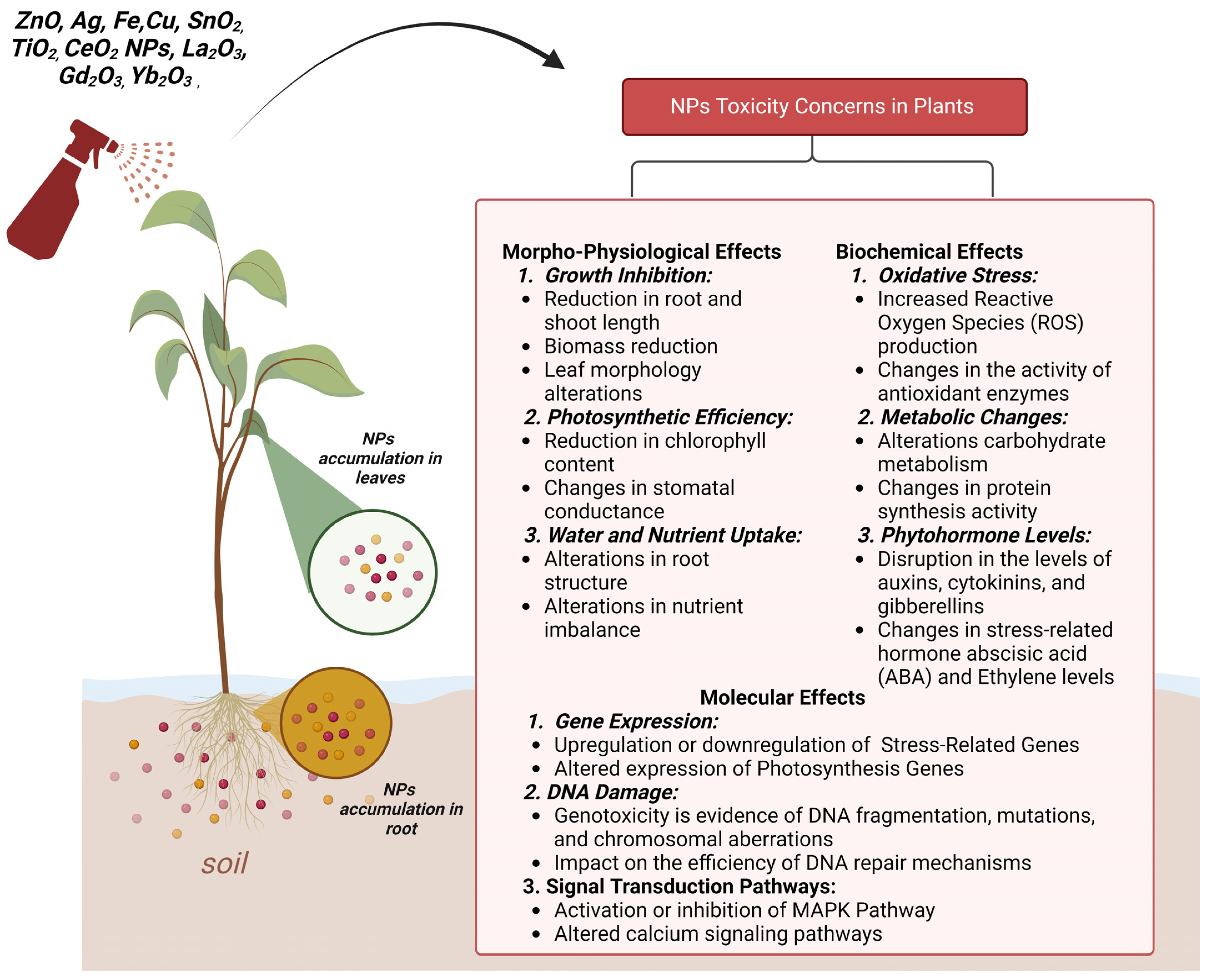 Nanomaterials 14 01249 g004