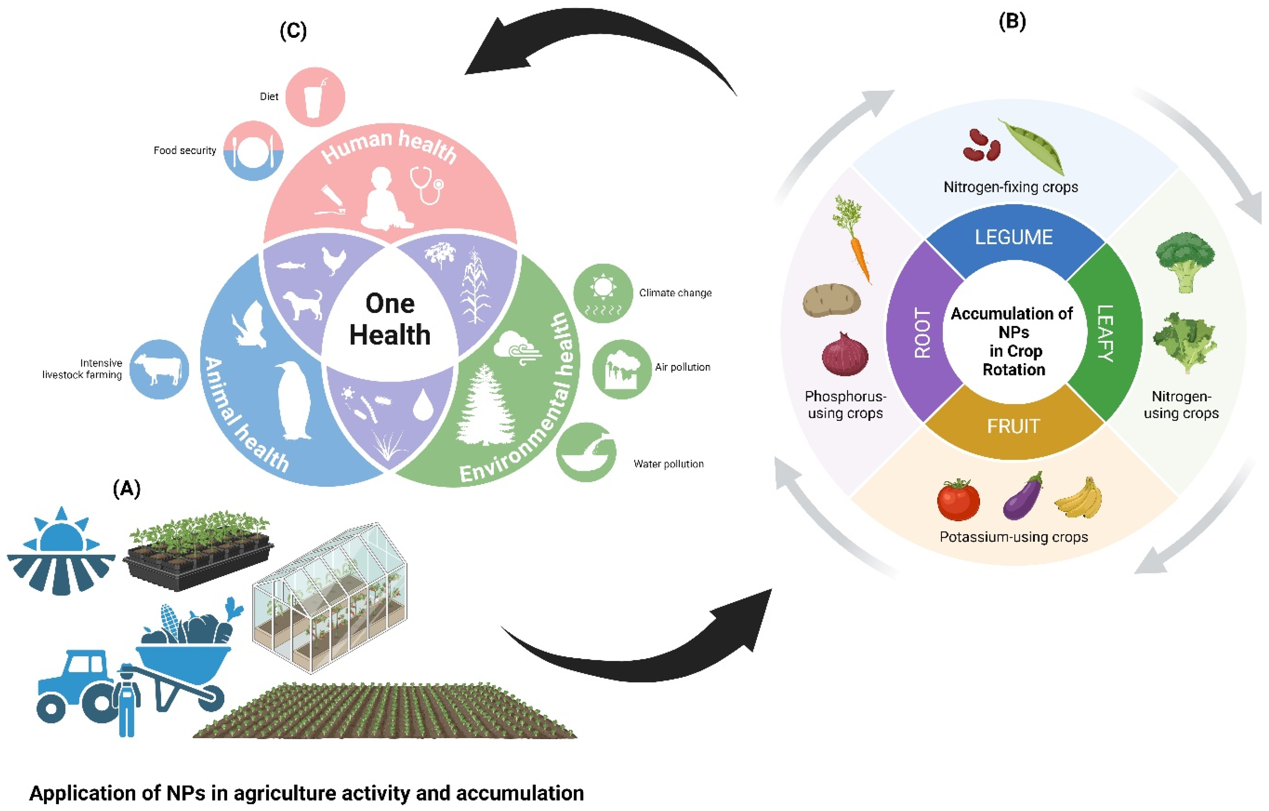 Nanomaterials 14 01249 g005