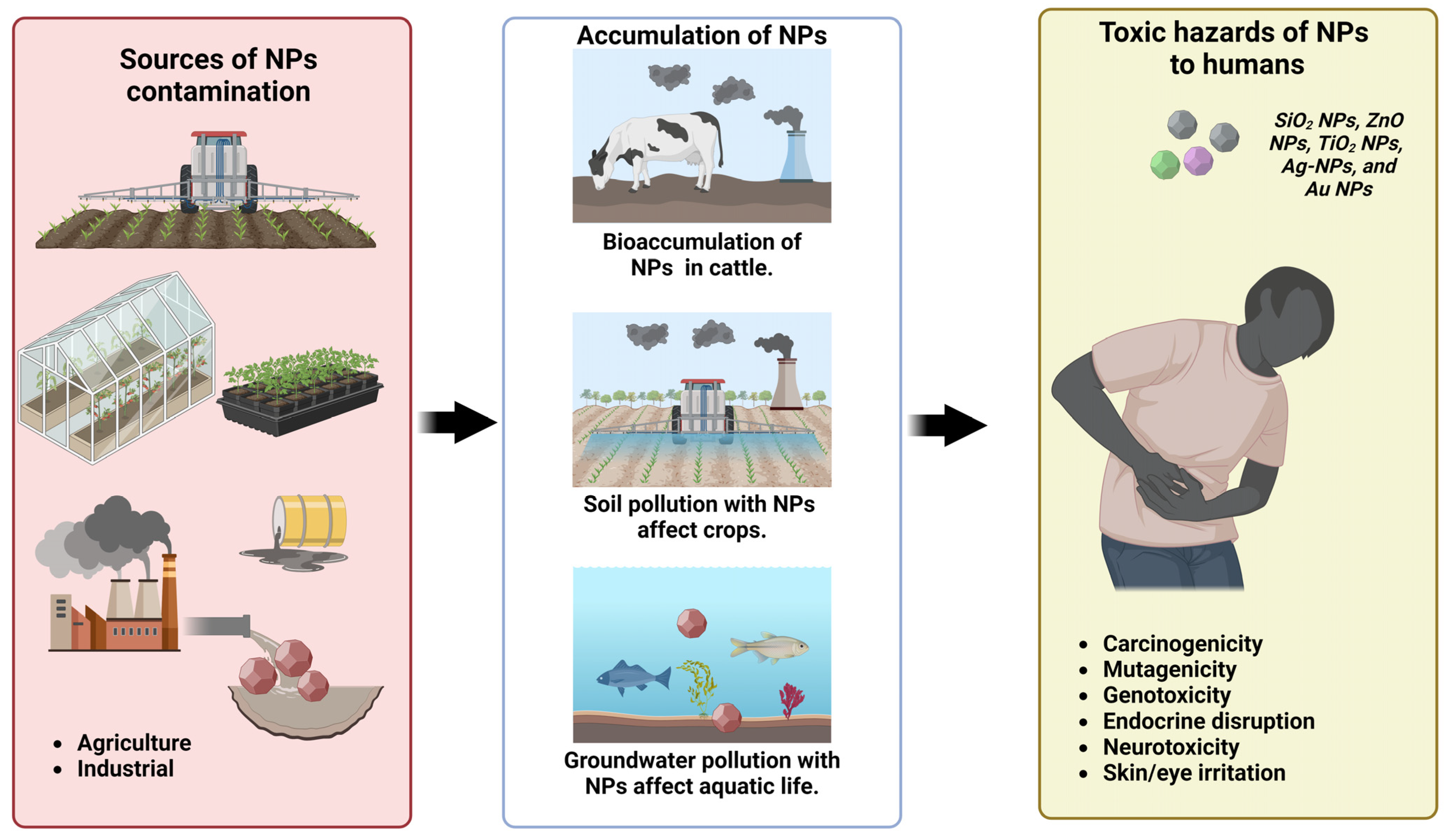 Nanomaterials 14 01249 g006