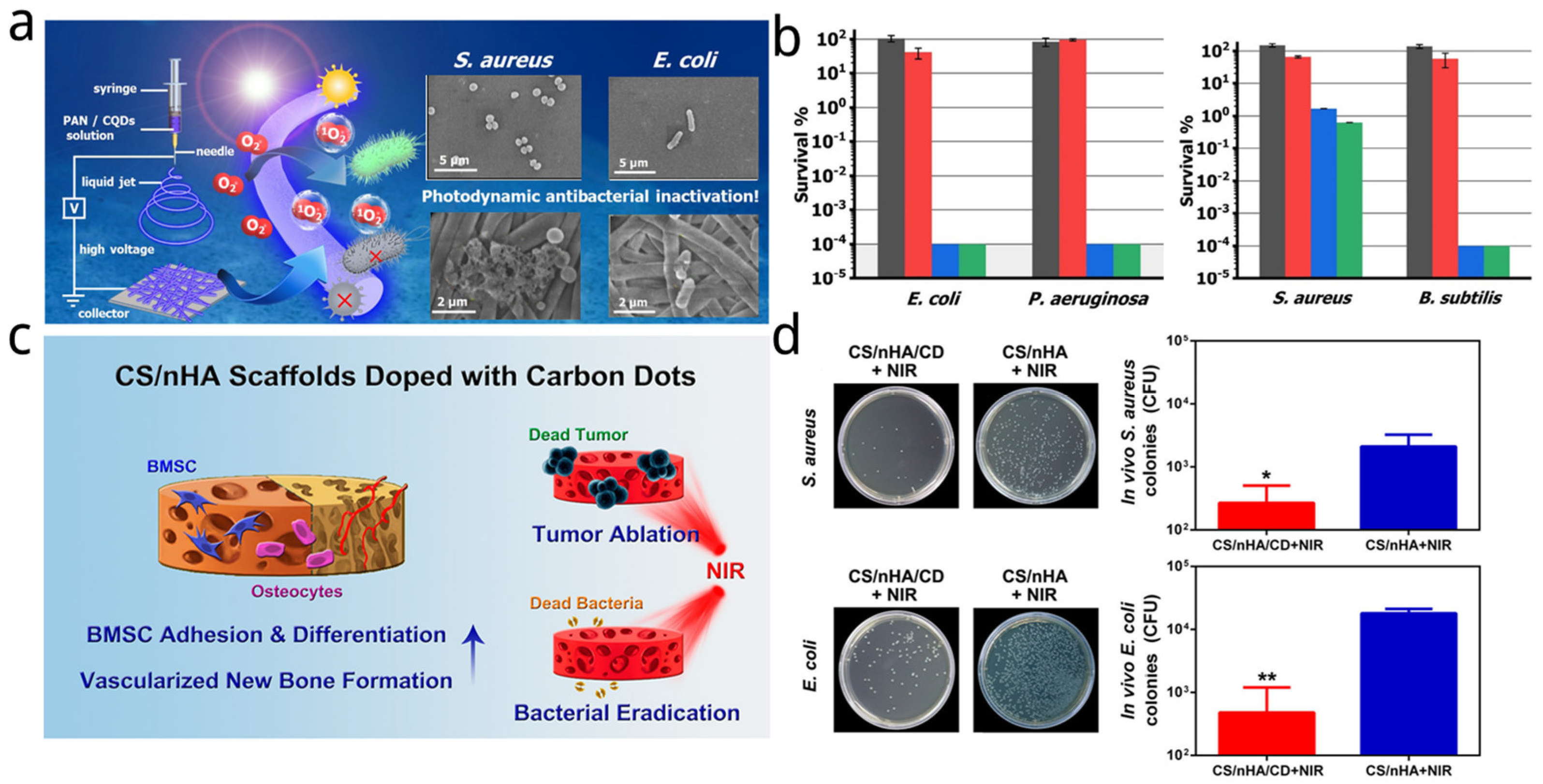 Nanomaterials 14 01250 g005