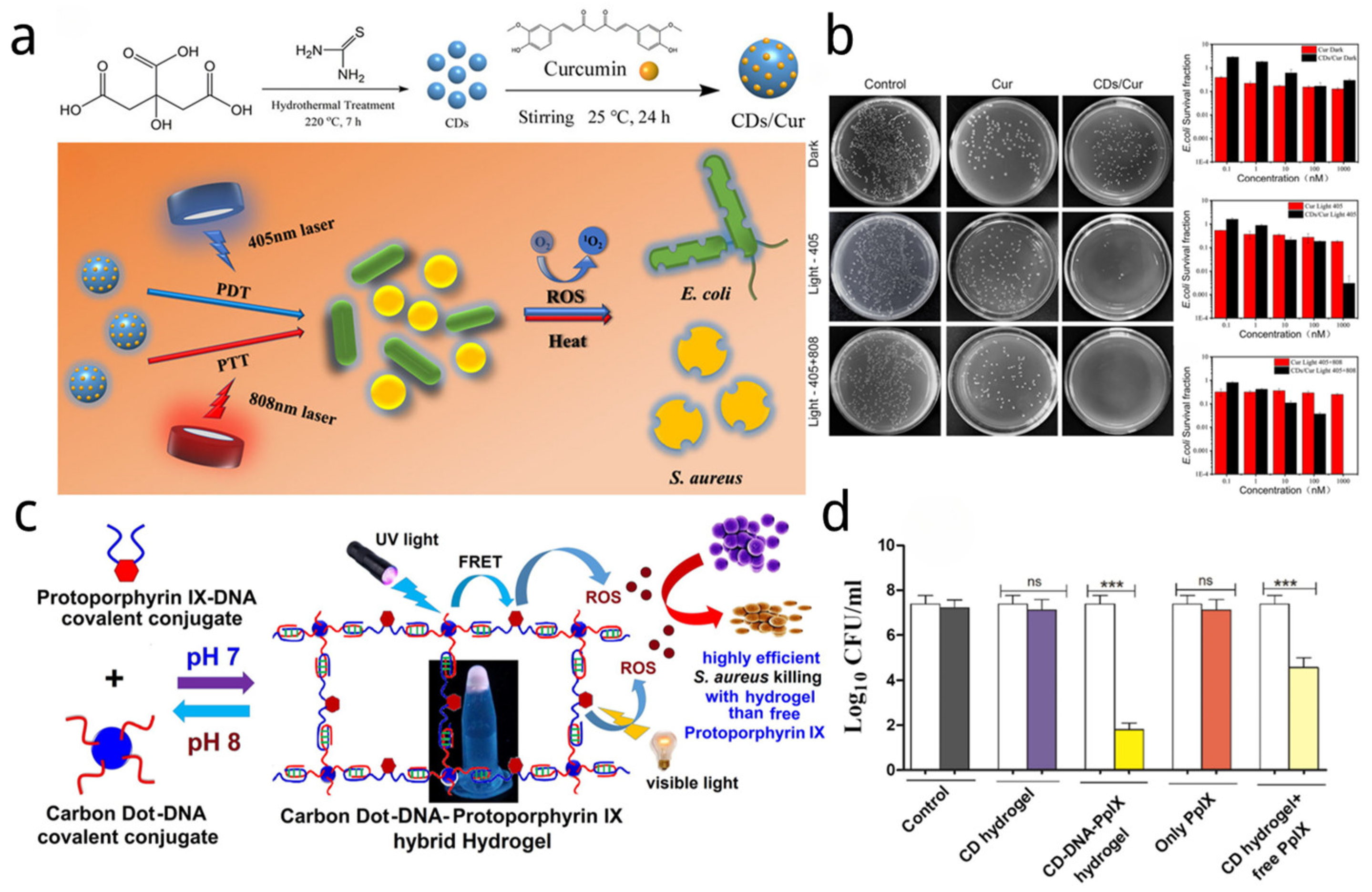 Nanomaterials 14 01250 g006