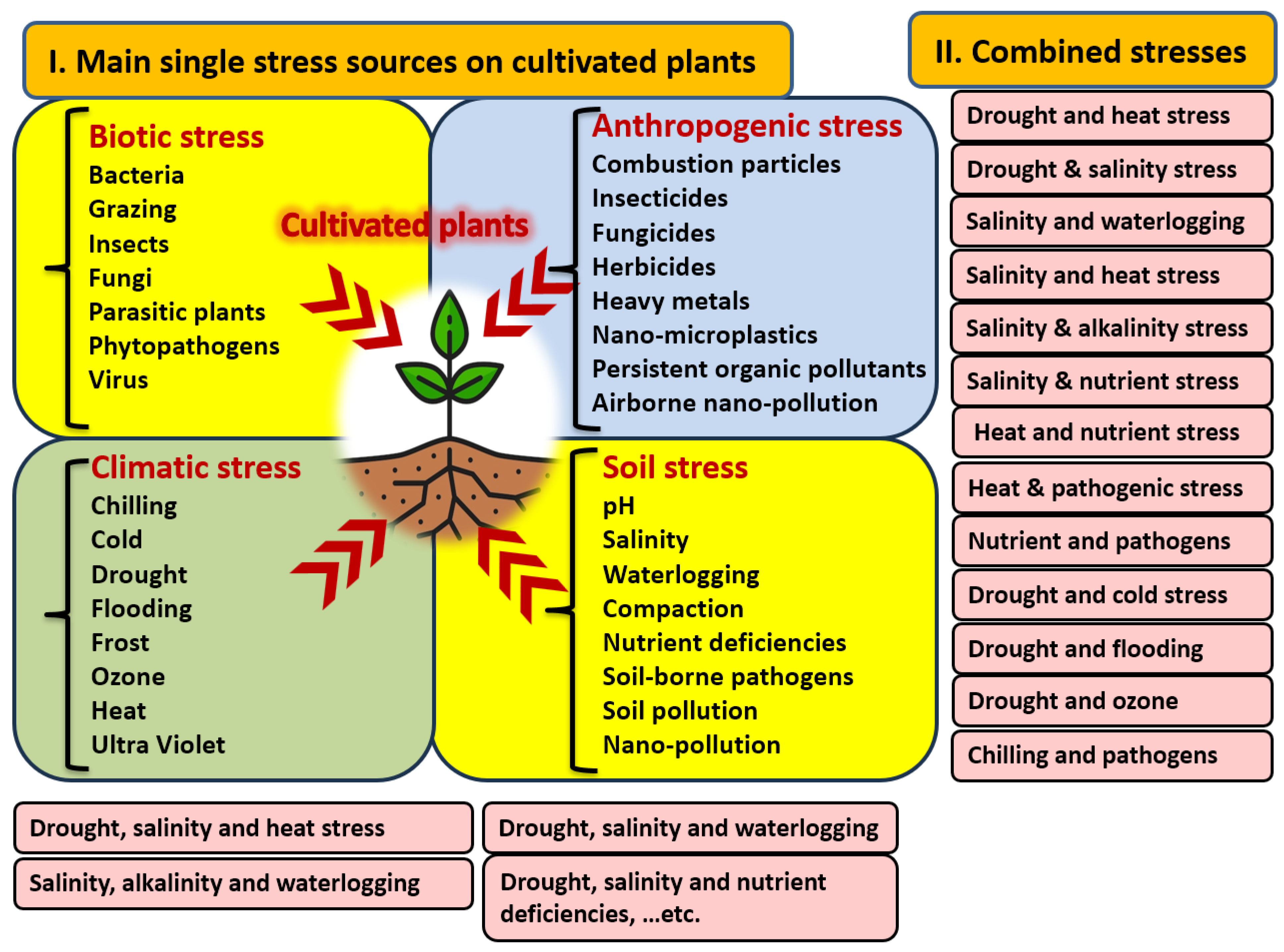 Nanomaterials 14 01253 g002
