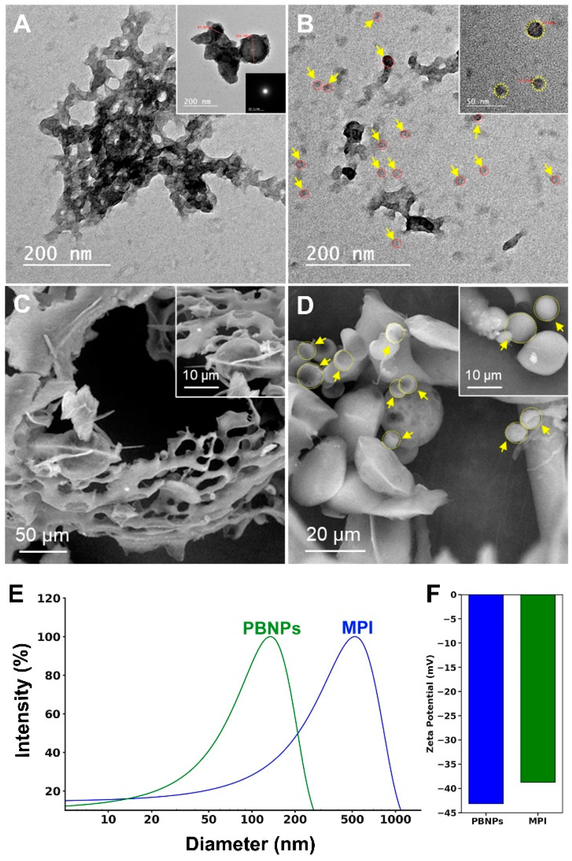 Nanomaterials 14 01254 g001