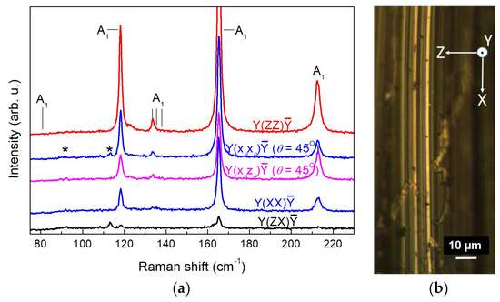 リボン Polarized Raman Study of First-Order Phonons in Self-Flux