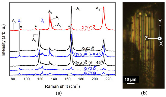 Polarized Raman Study of First-Order Phonons in Self-Flux