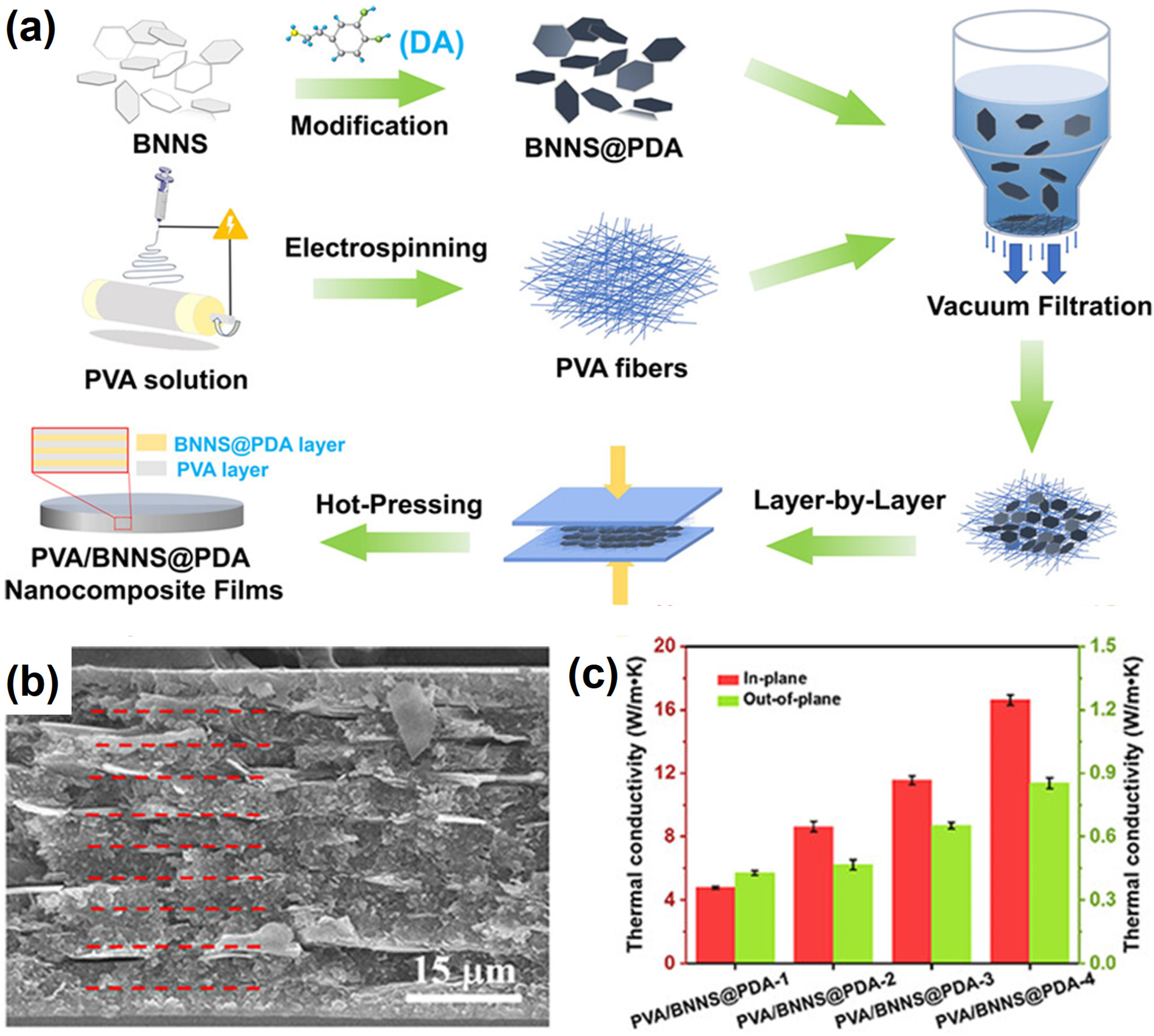 Nanomaterials 14 01259 g005