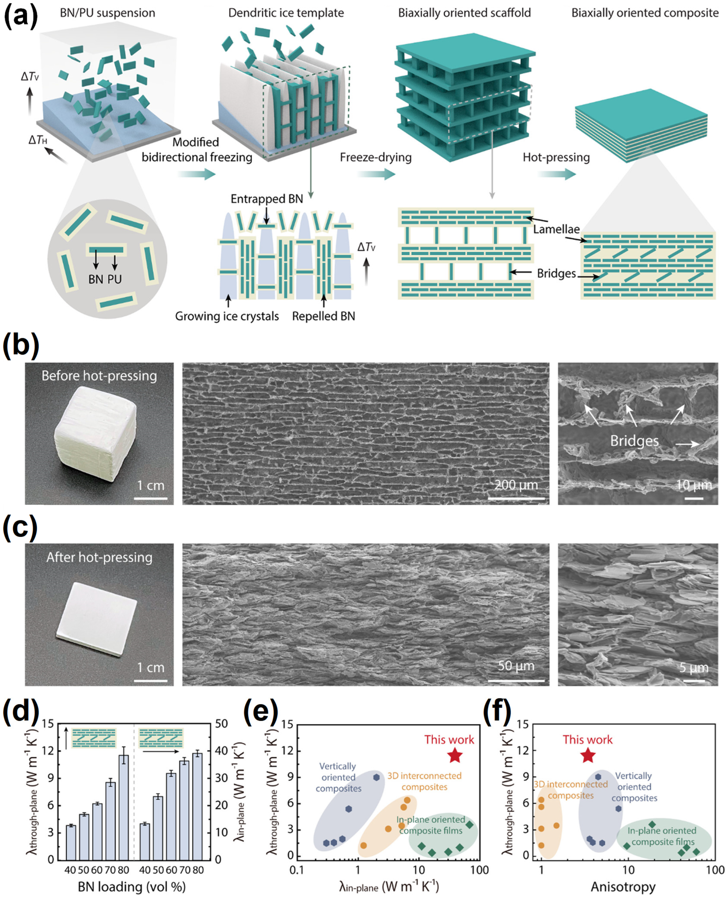 Nanomaterials 14 01259 g006